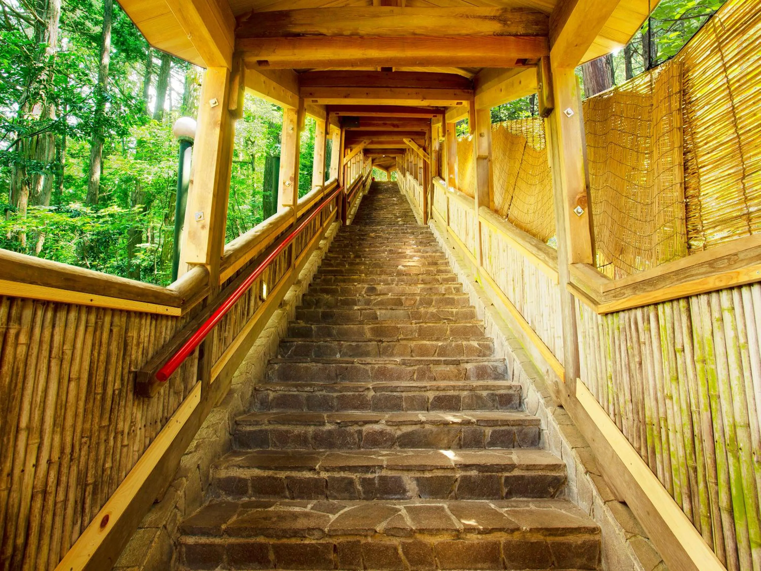Hot Spring Bath in Ooedo Onsen Monogatari Miyoshiya