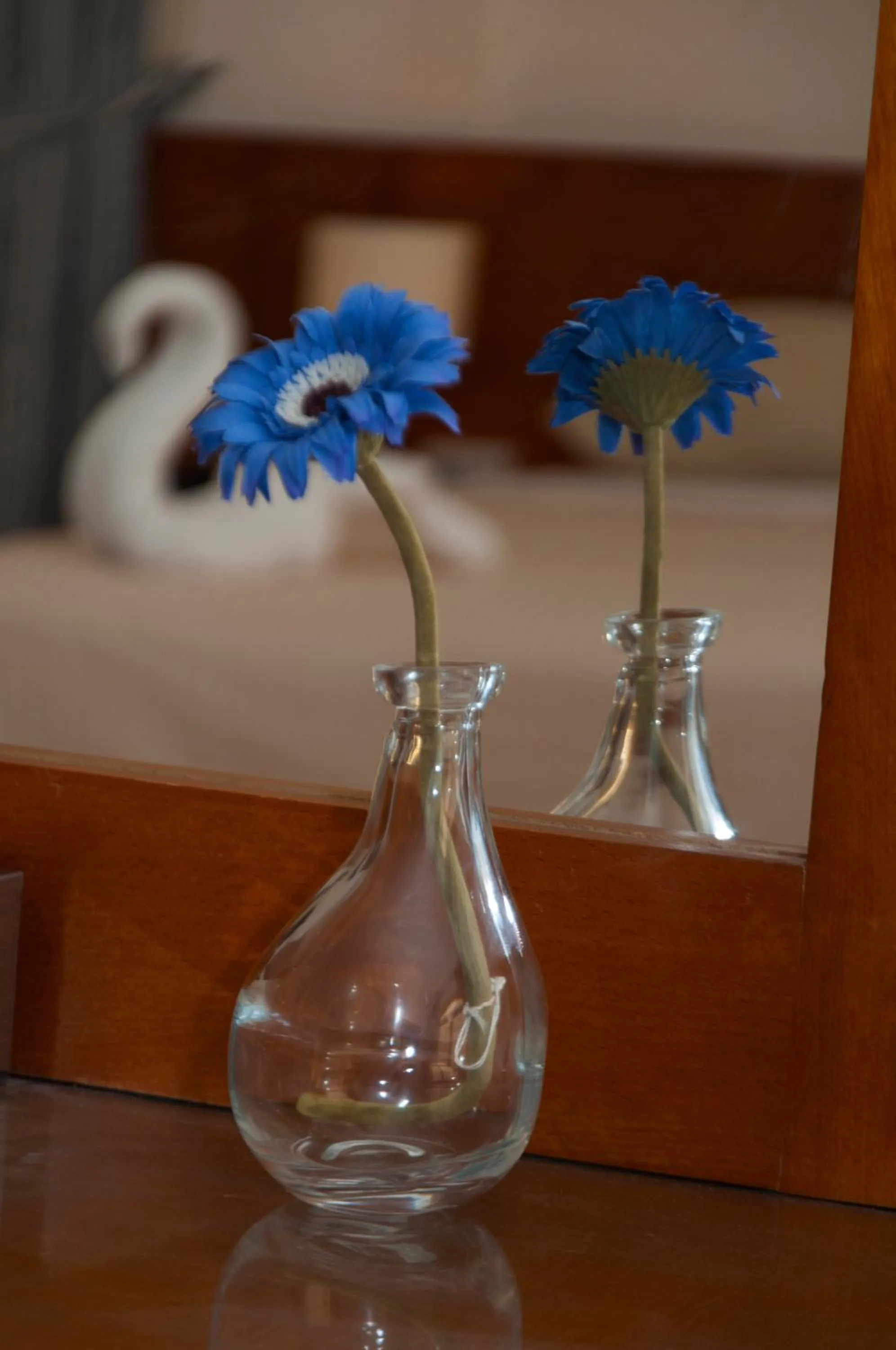 Other in Elaria Hotel Hurgada