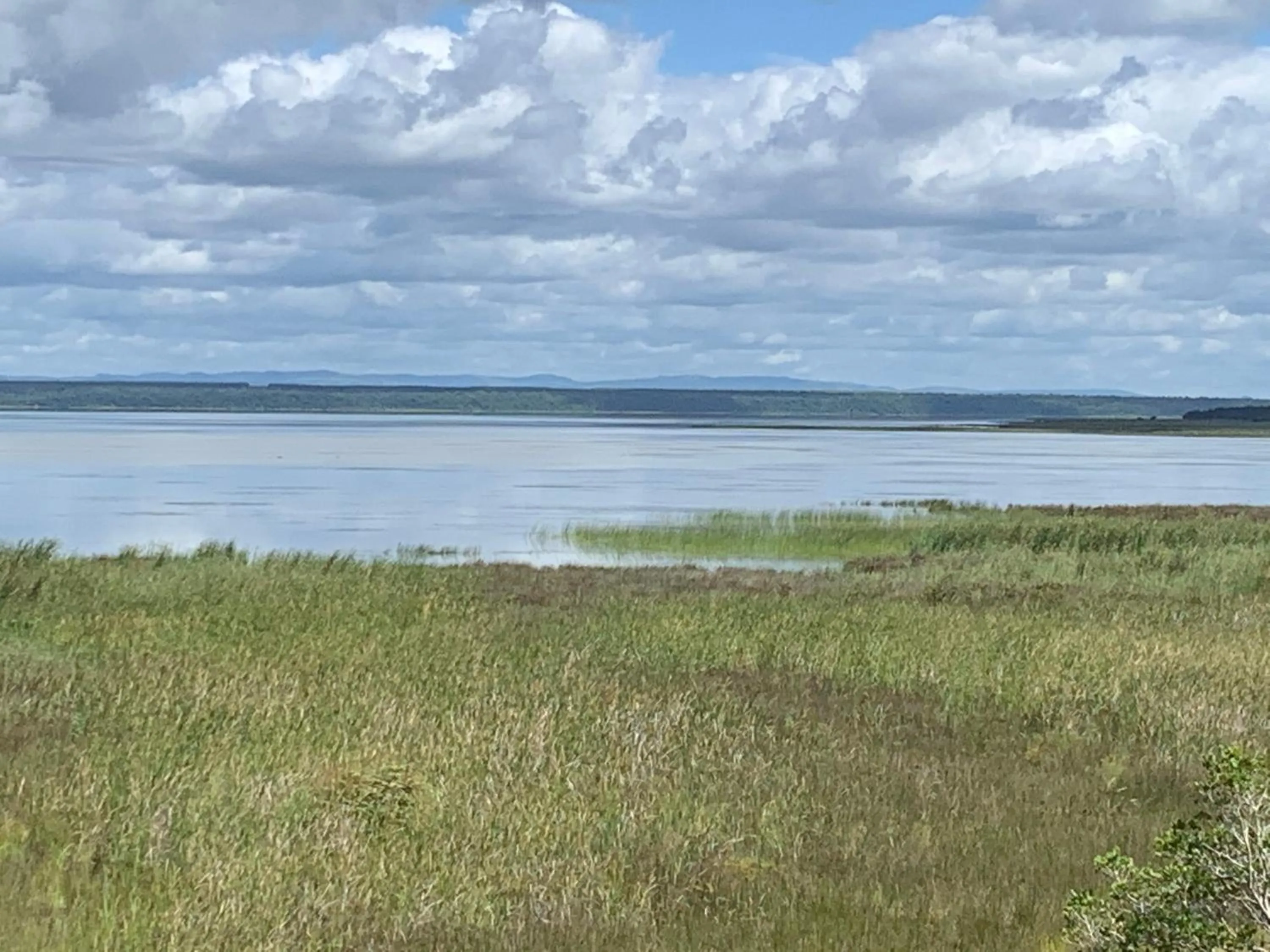 Lake view in St Lucia Palms