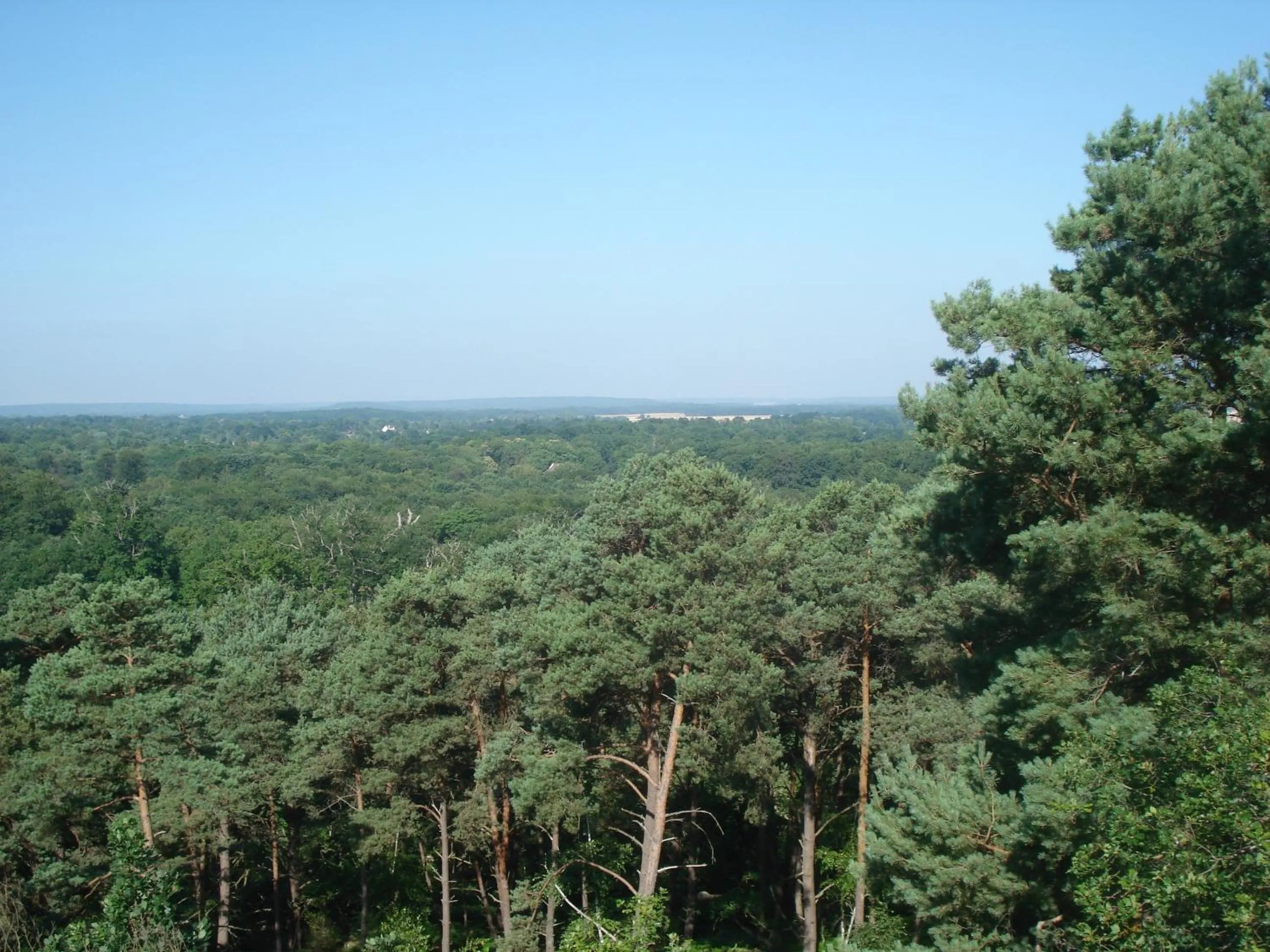 Natural landscape in Les Prémices De La Forêt