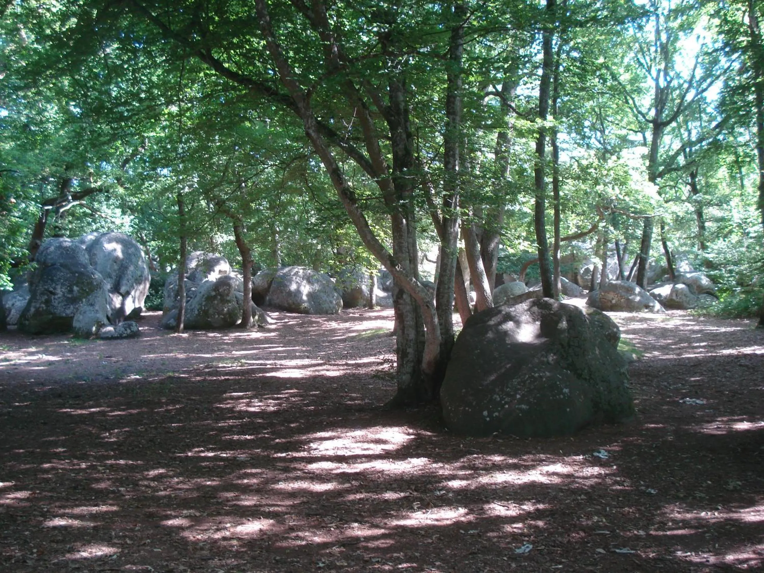Nearby landmark in Les Prémices De La Forêt
