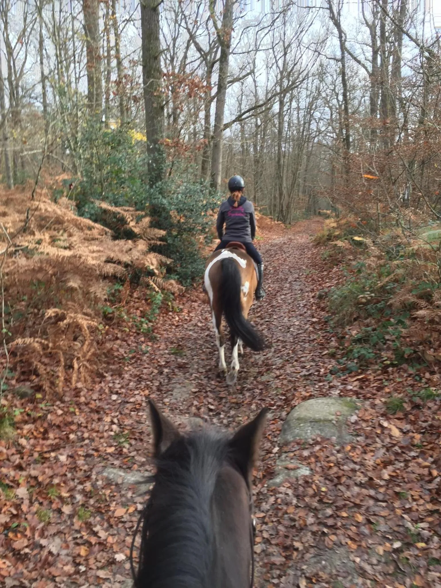 Nearby landmark in Les Prémices De La Forêt