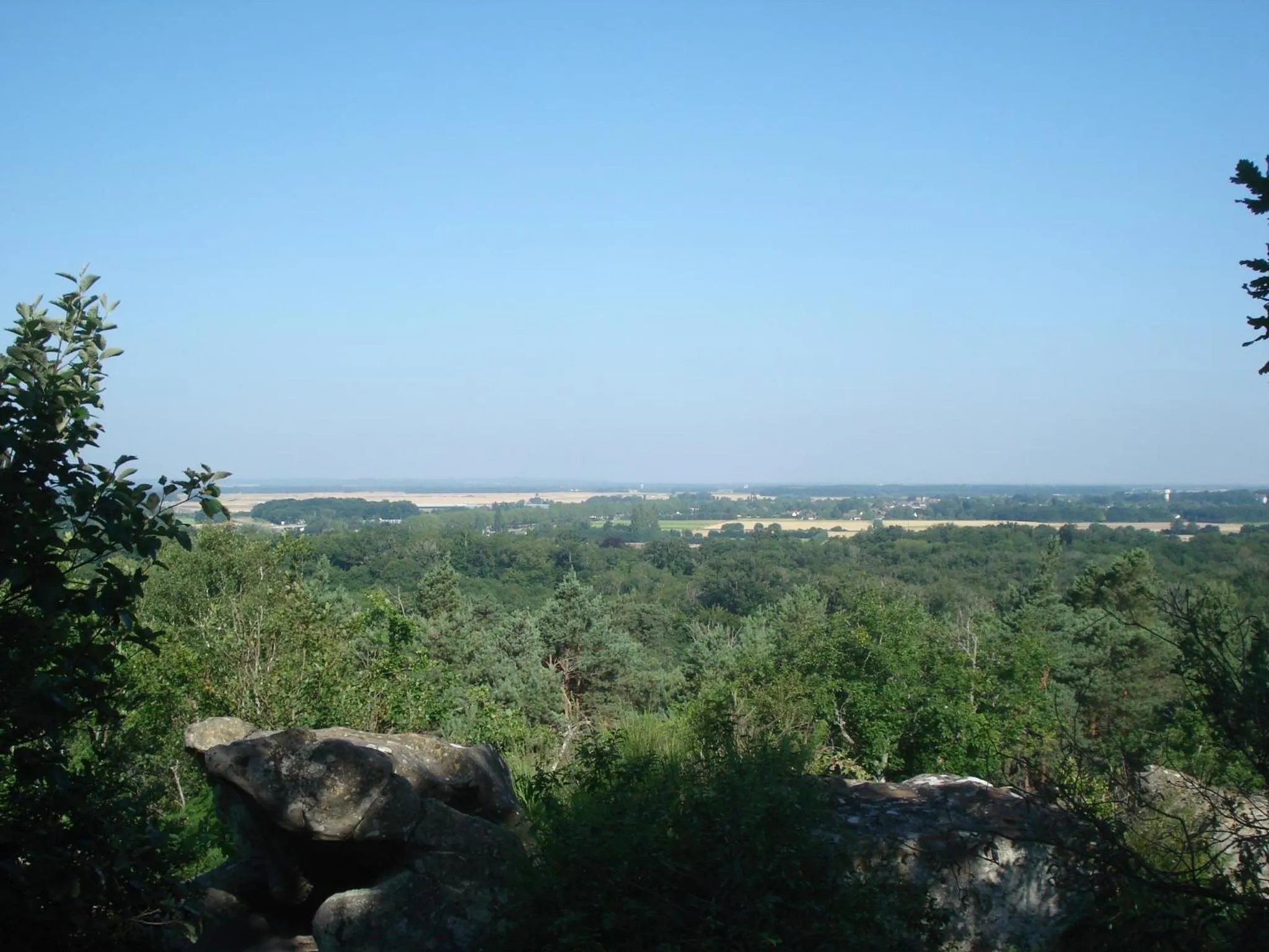 Hiking in Les Prémices De La Forêt