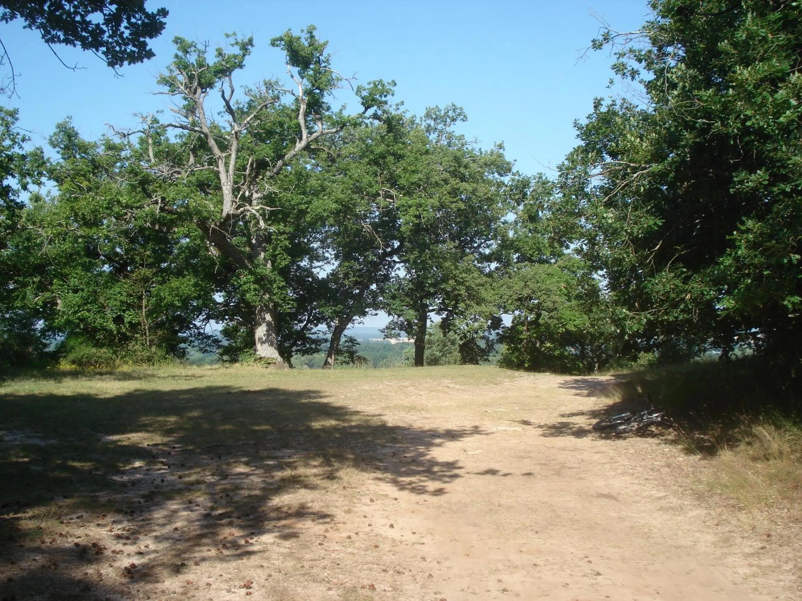 Natural landscape in Les Prémices De La Forêt