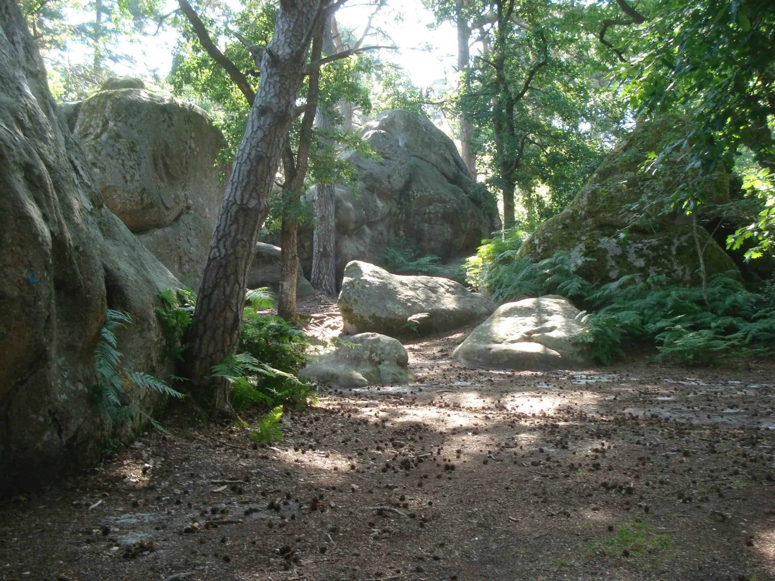 Nearby landmark in Les Prémices De La Forêt