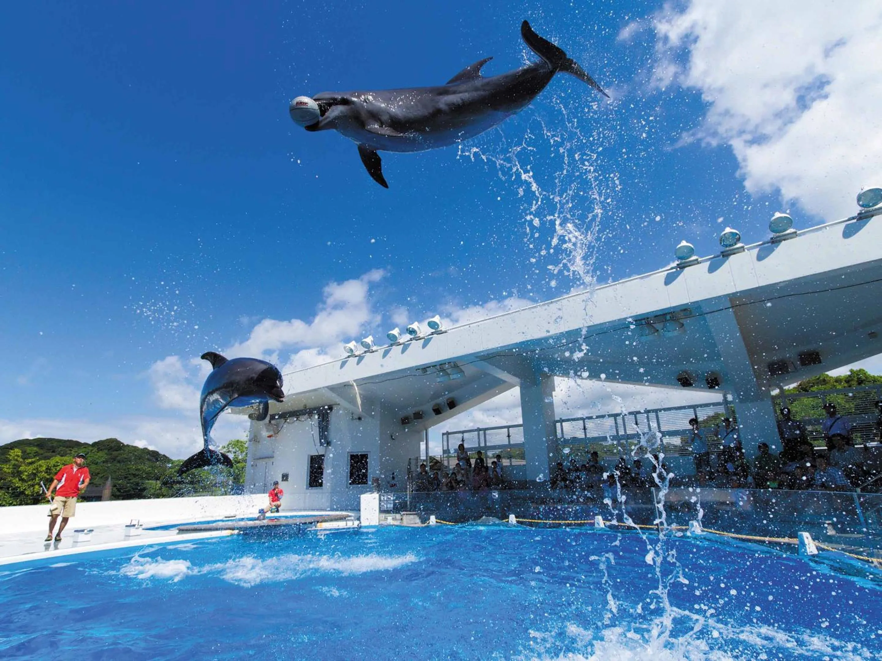 Nearby landmark, Swimming Pool in Yukai Resort Ureshinokan