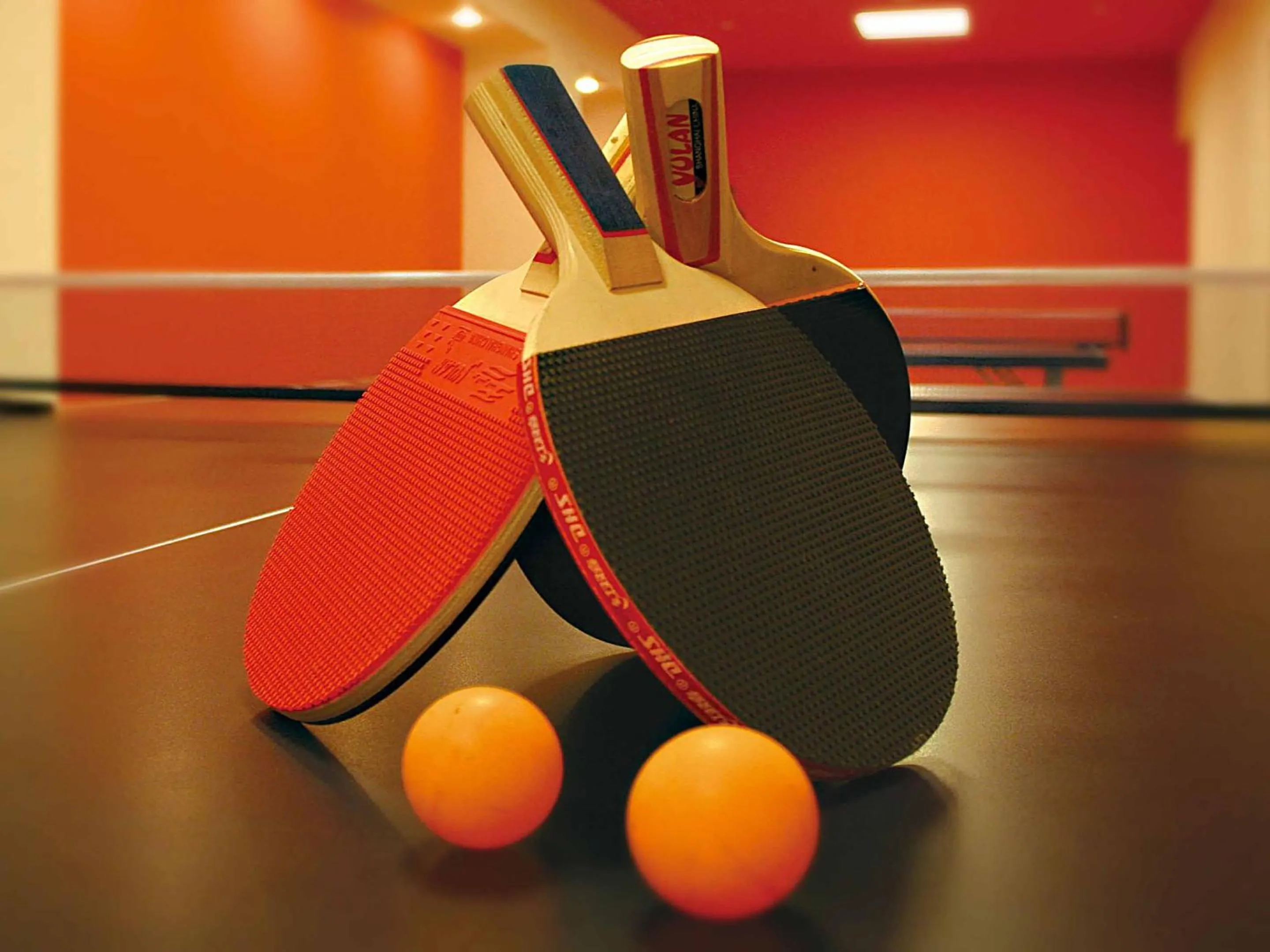 Table Tennis in Yukai Resort Ureshinokan