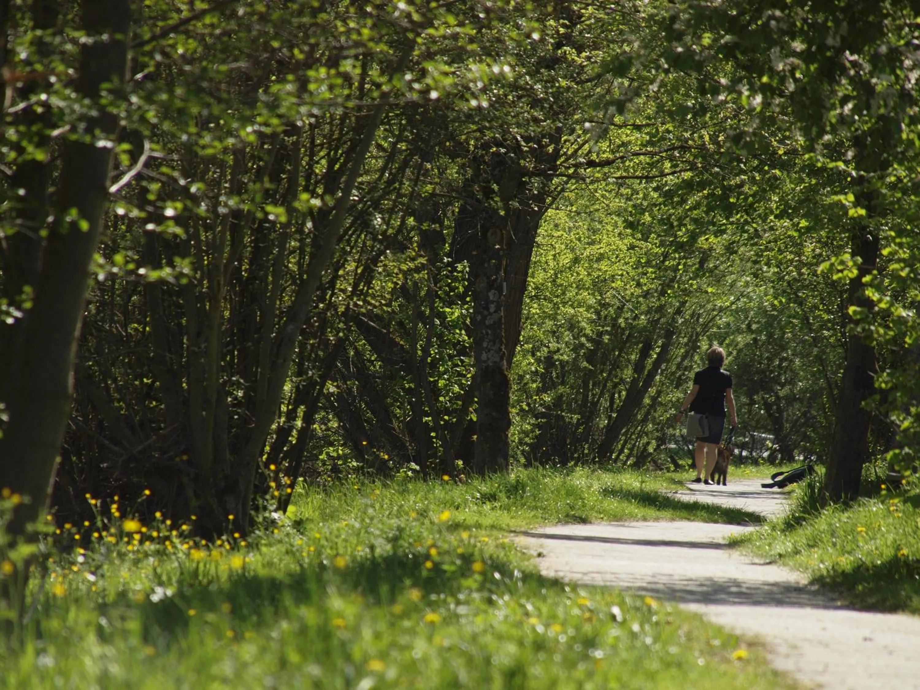 Hiking in Hotel Sonne29