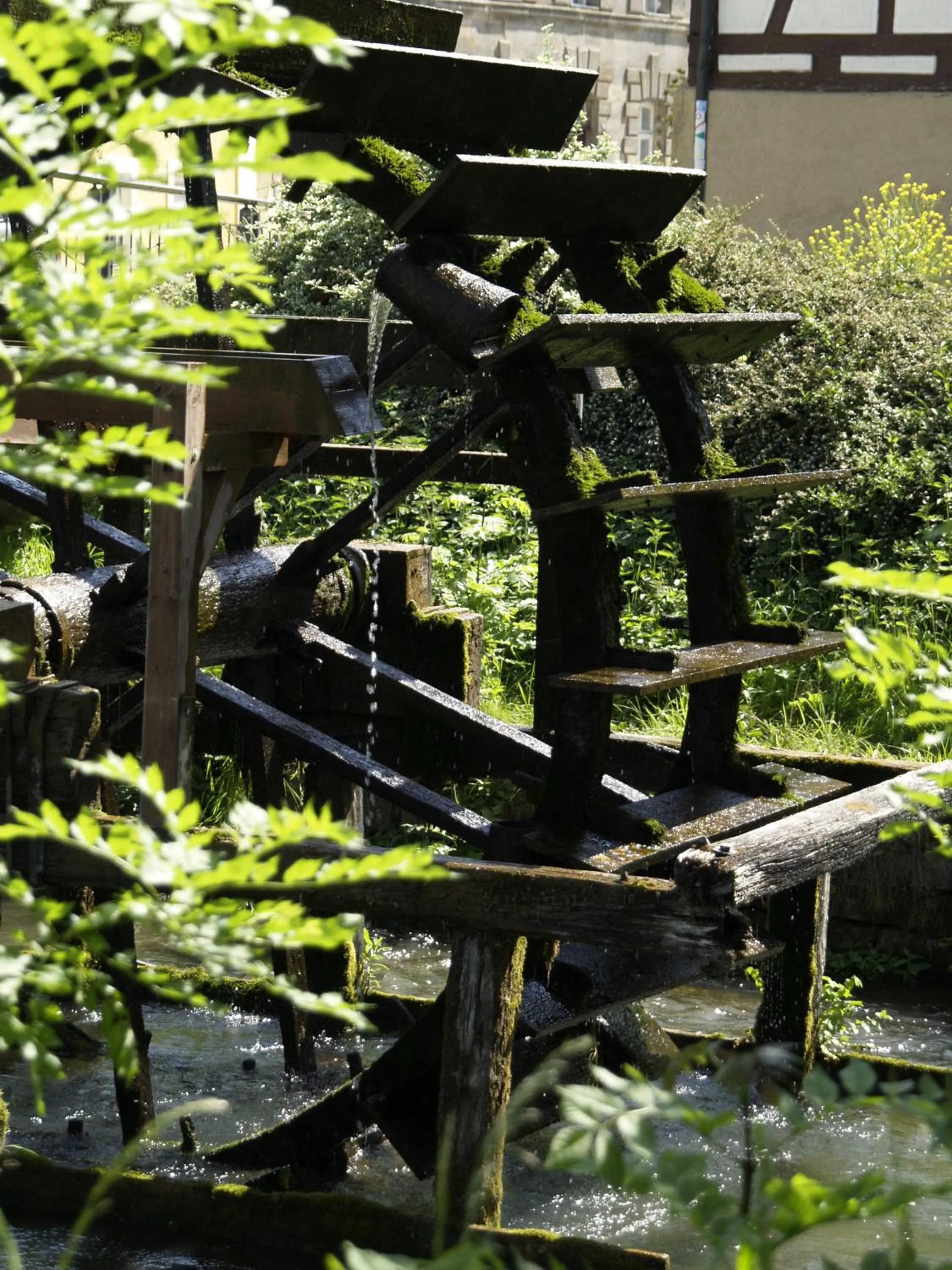 Hiking in Hotel Sonne29