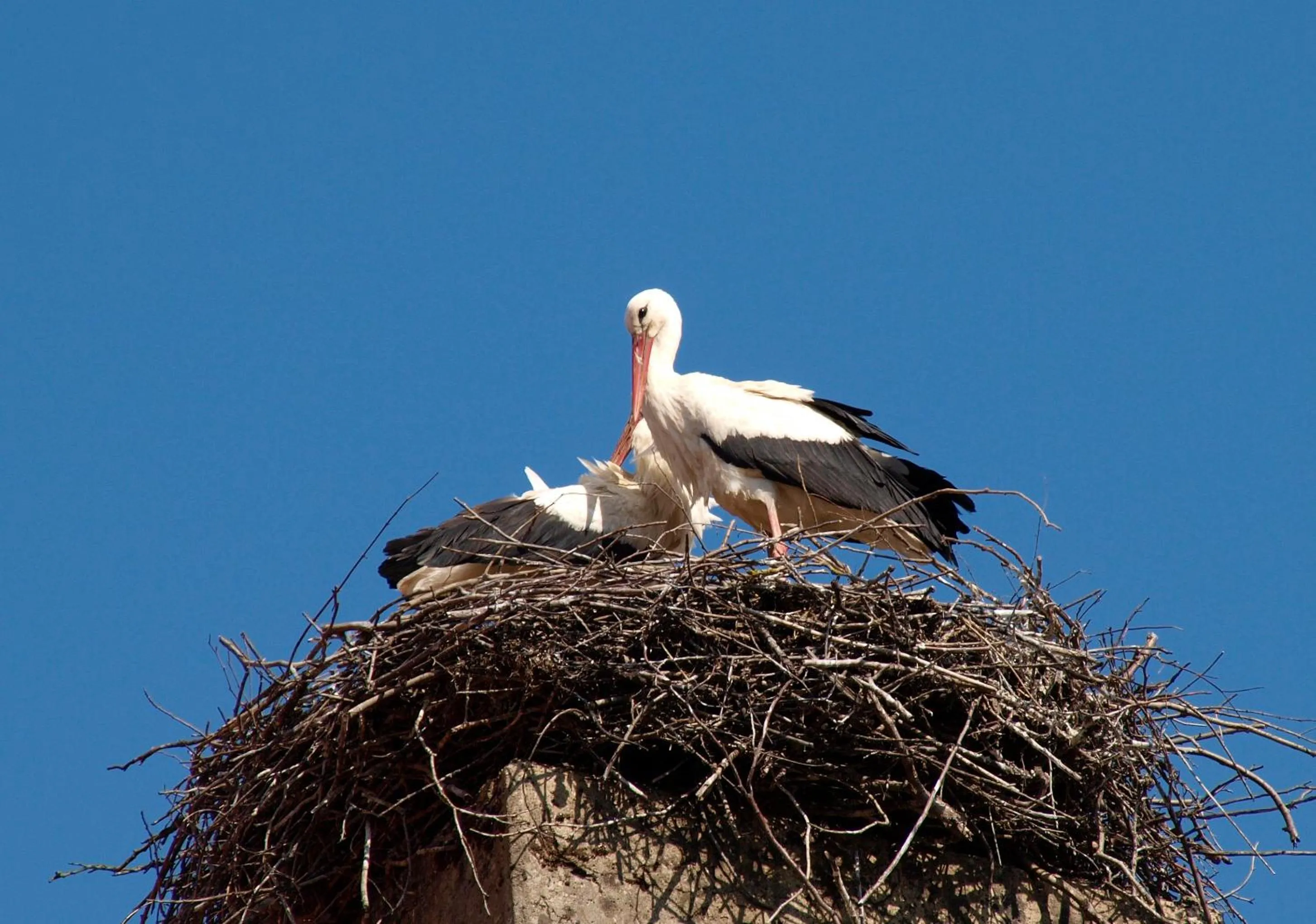 View (from property/room) in Hotel Sonne29