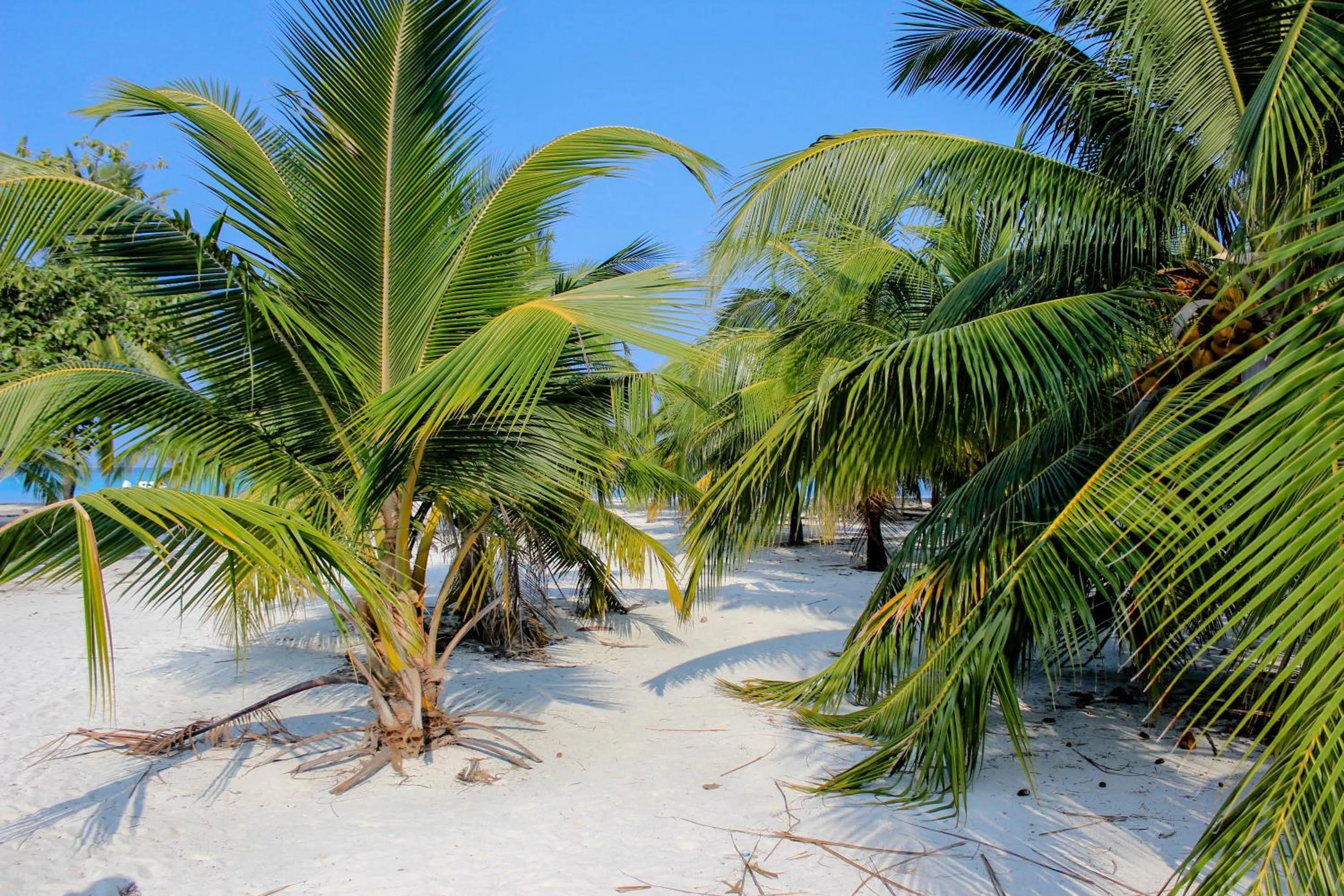 Day in Cerulean View Residence