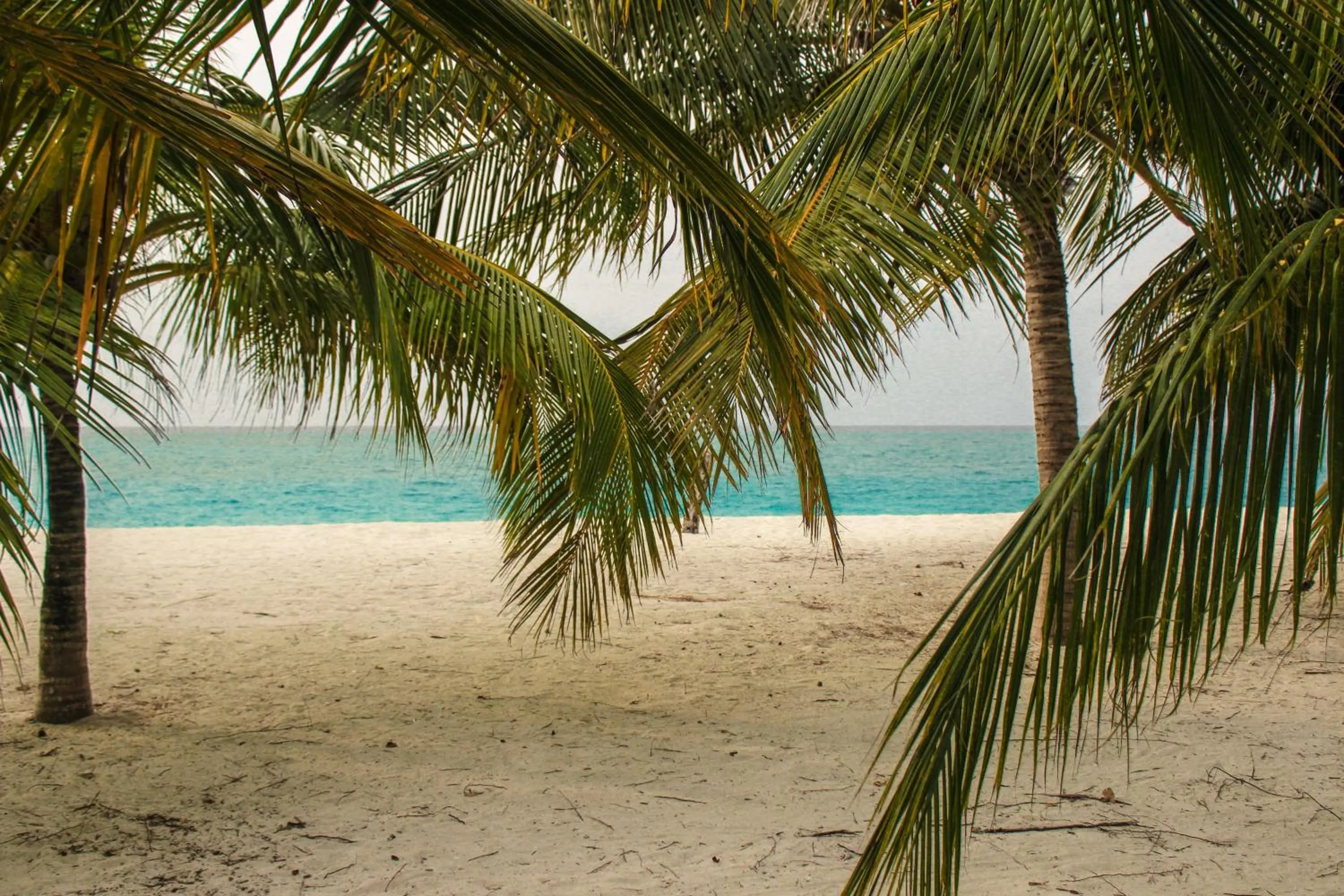 Off site in Cerulean View Residence