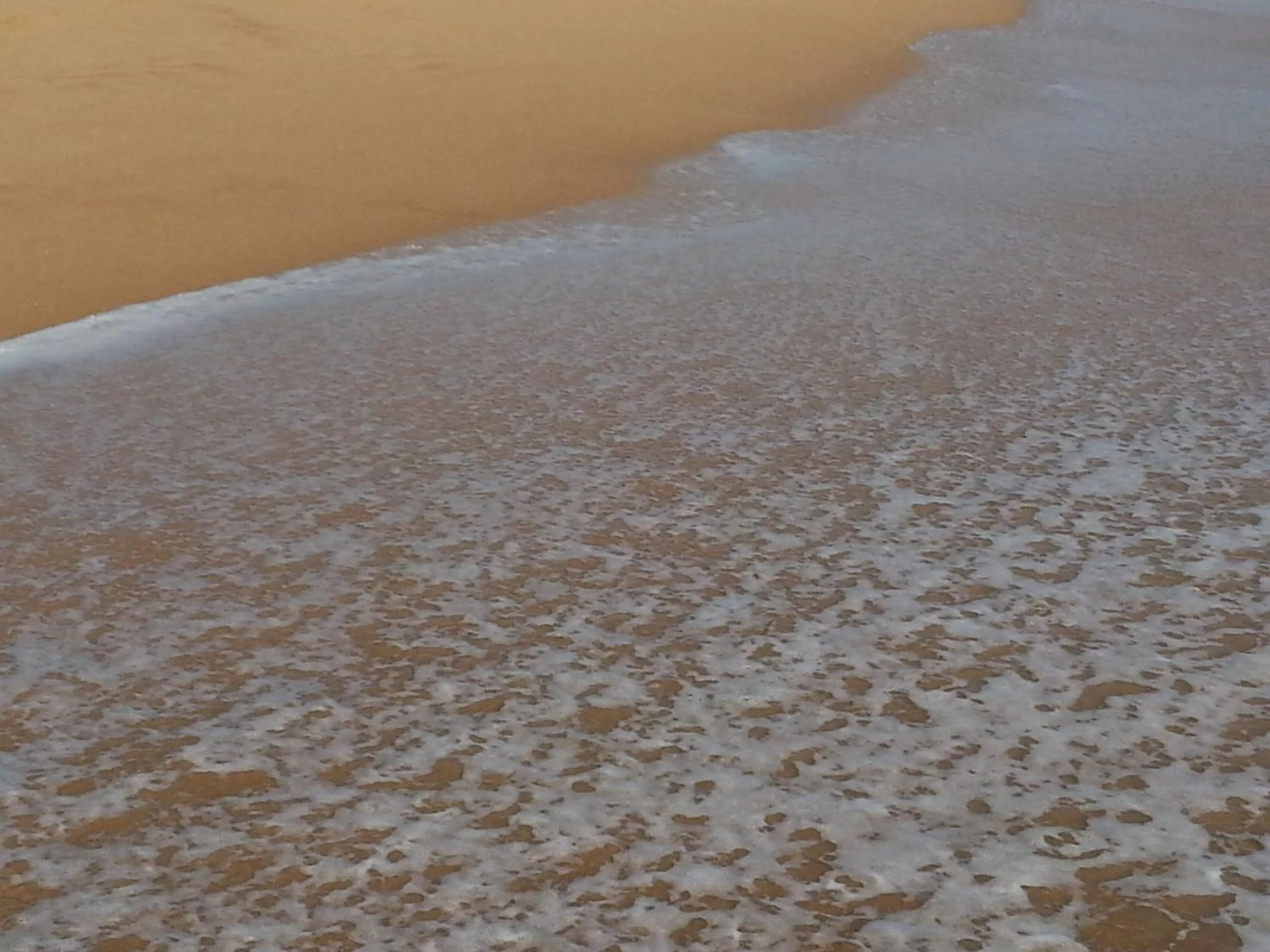 Lanka Beach Bungalows