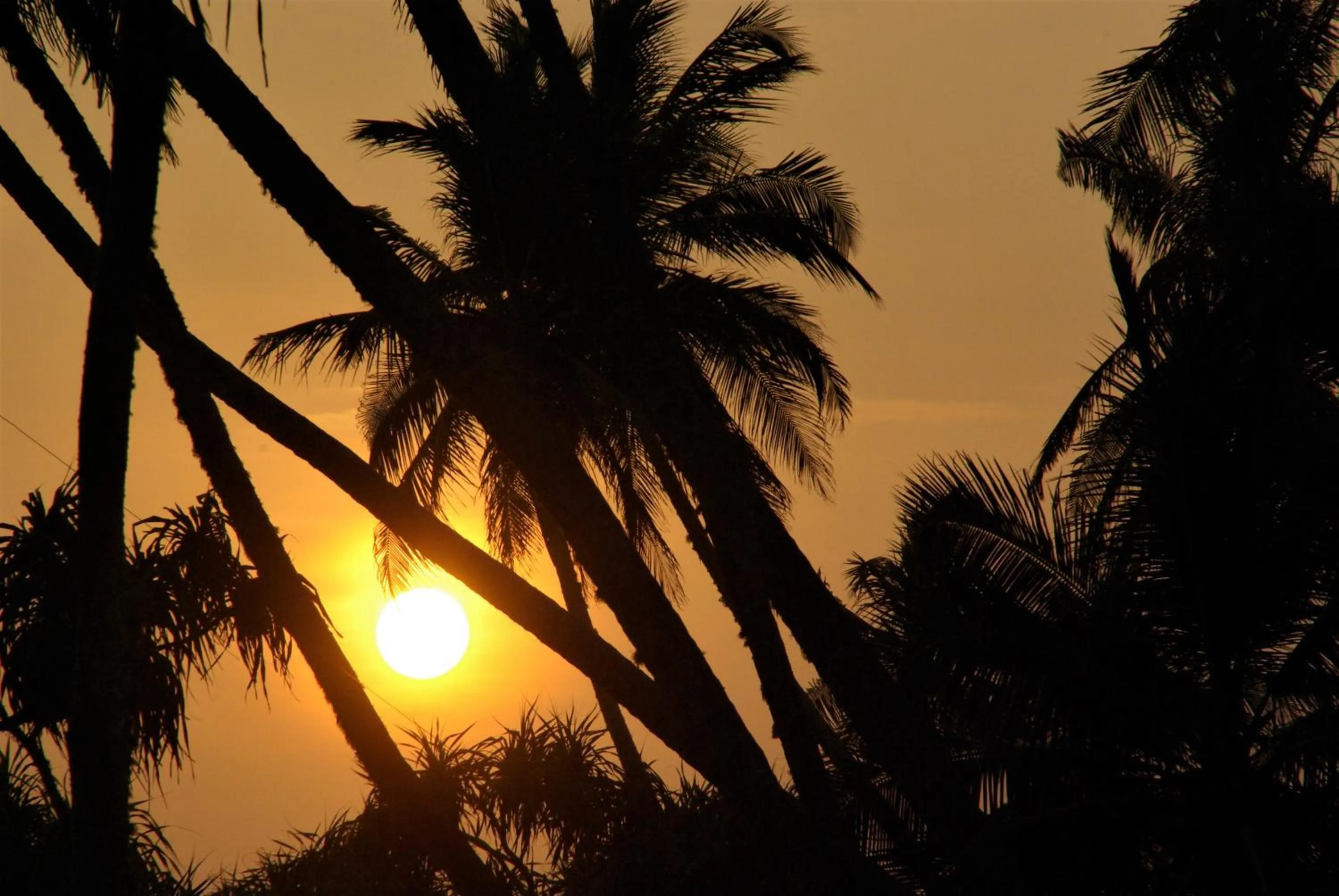 Sunrise/Sunset in Lanka Beach Bungalows
