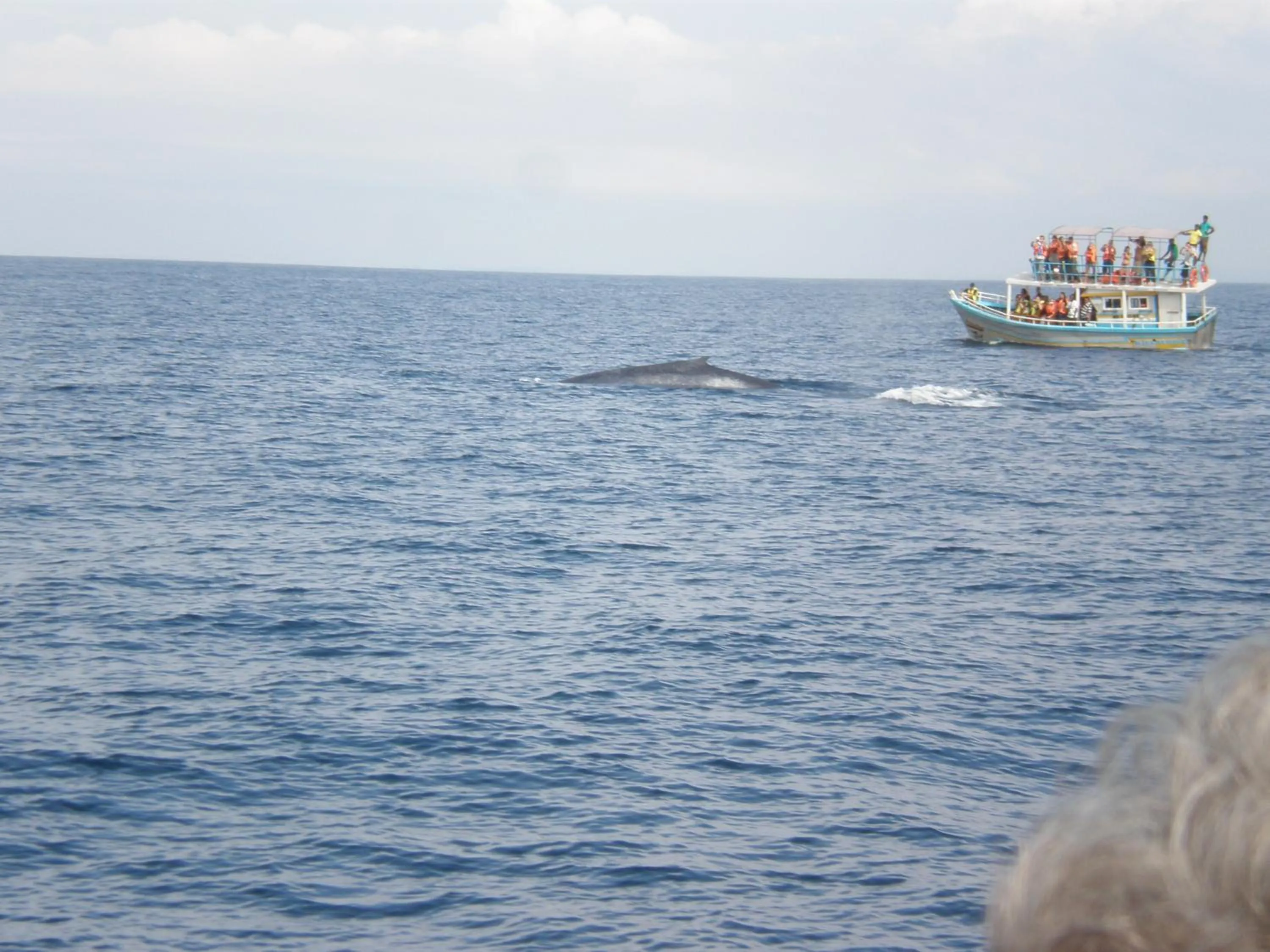 Lanka Beach Bungalows