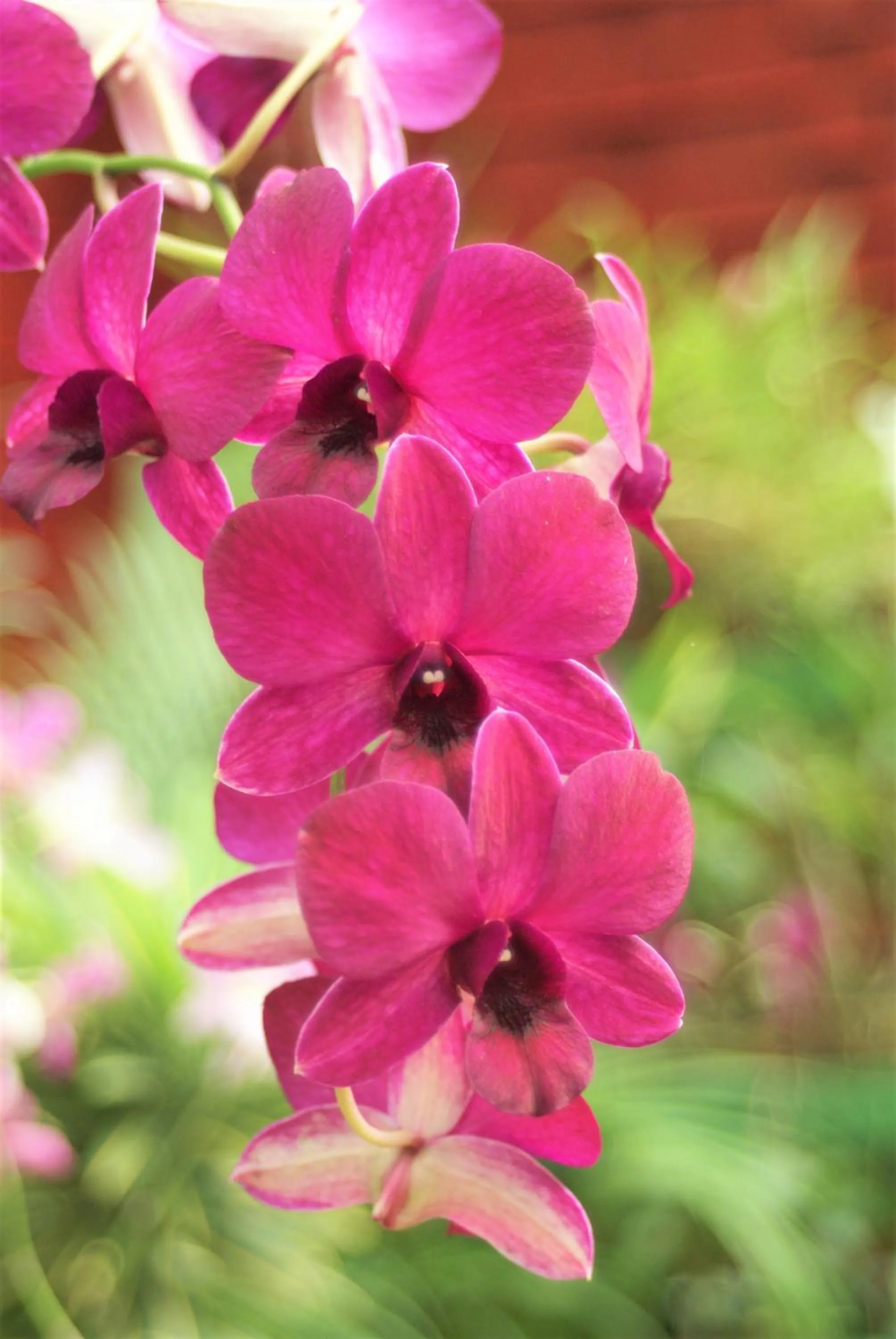 Lanka Beach Bungalows
