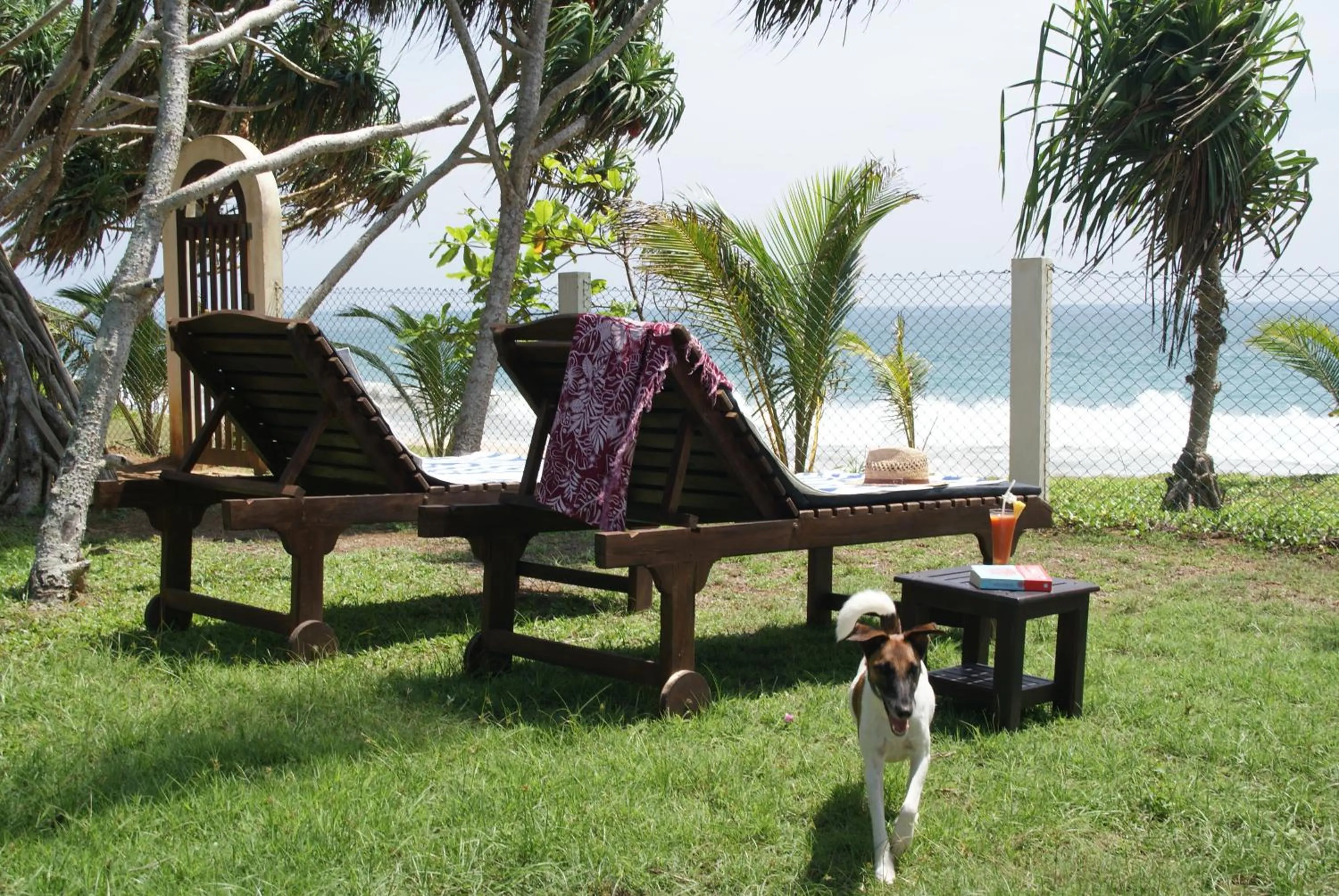 Pets in Lanka Beach Bungalows
