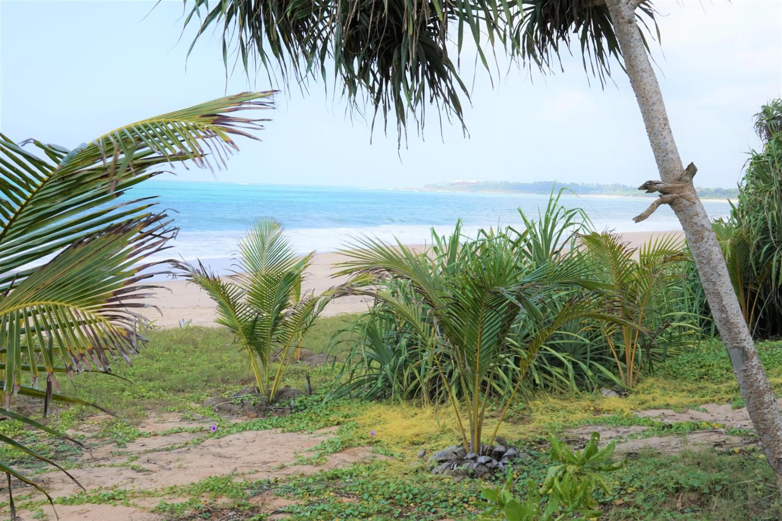 Lanka Beach Bungalows