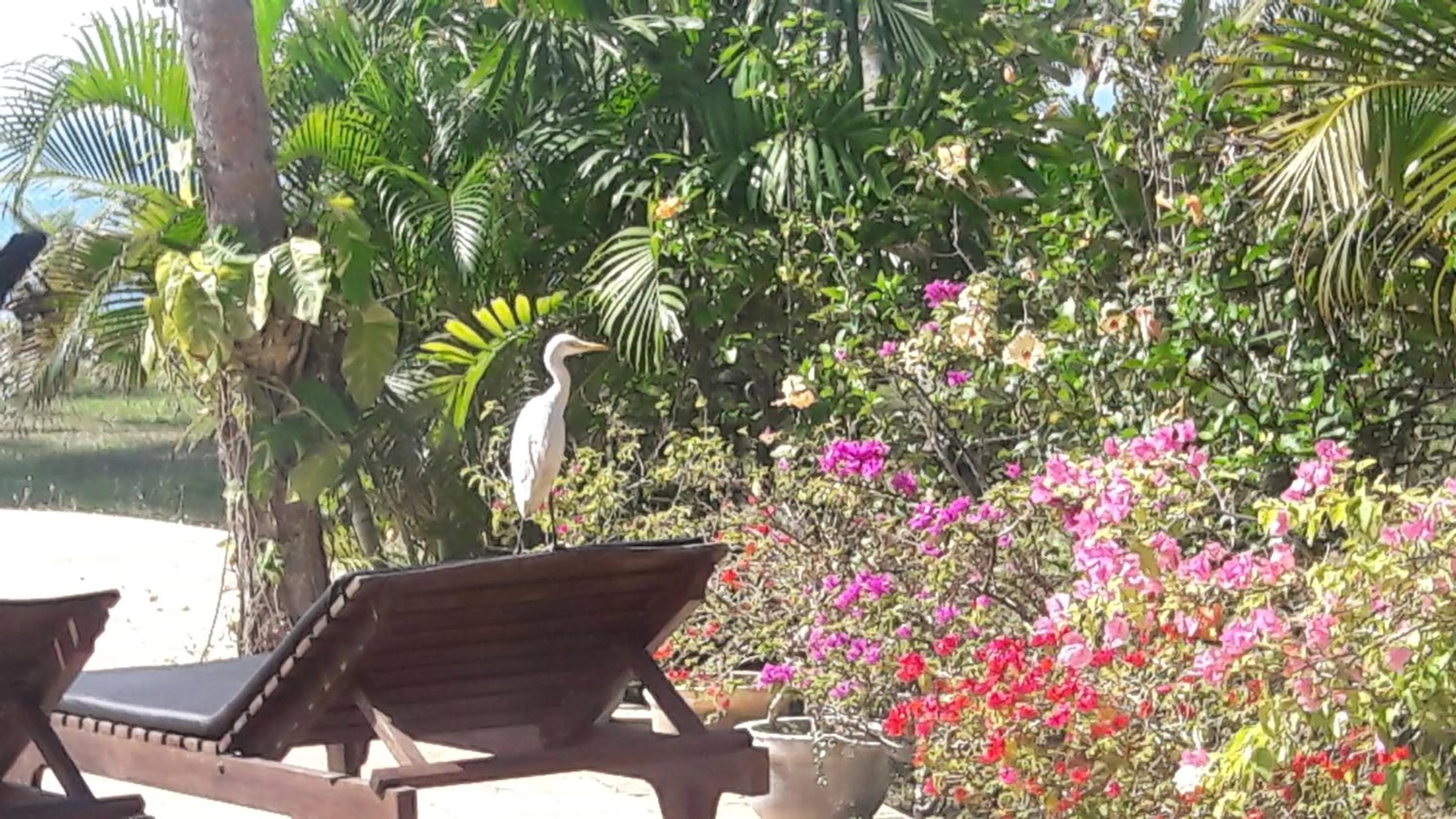 Lanka Beach Bungalows