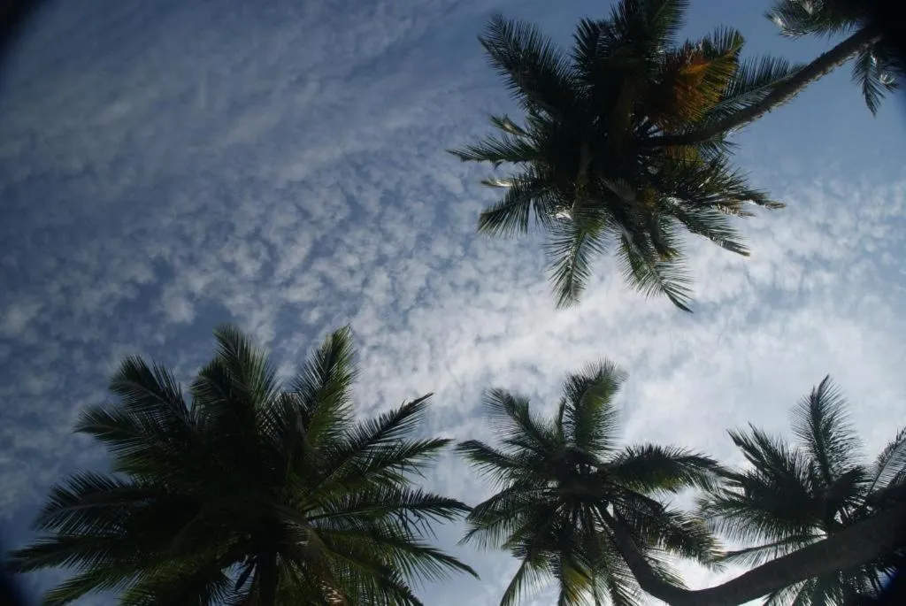 Lanka Beach Bungalows
