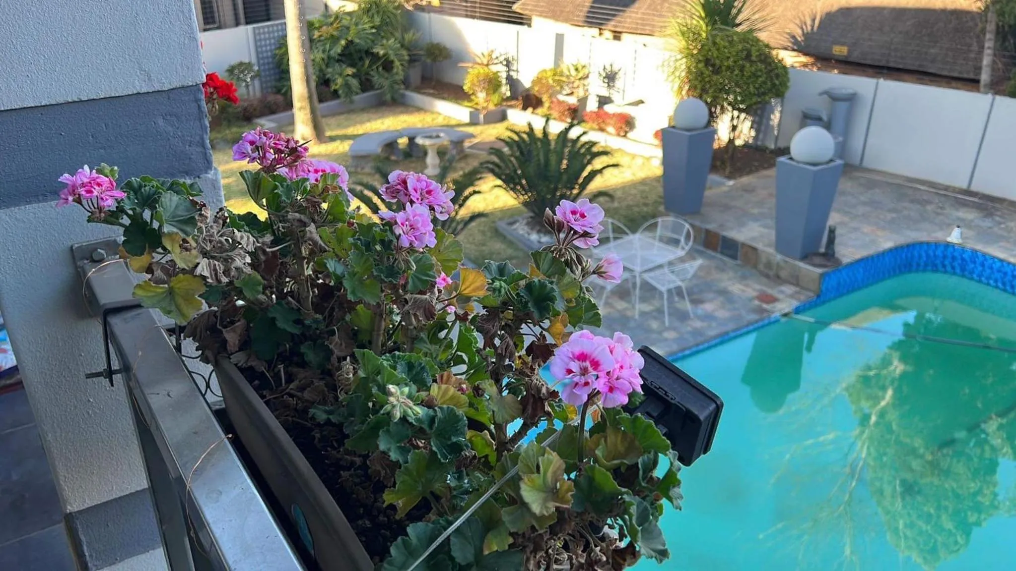 Pool view in 2 Op Terblanche Guesthouse