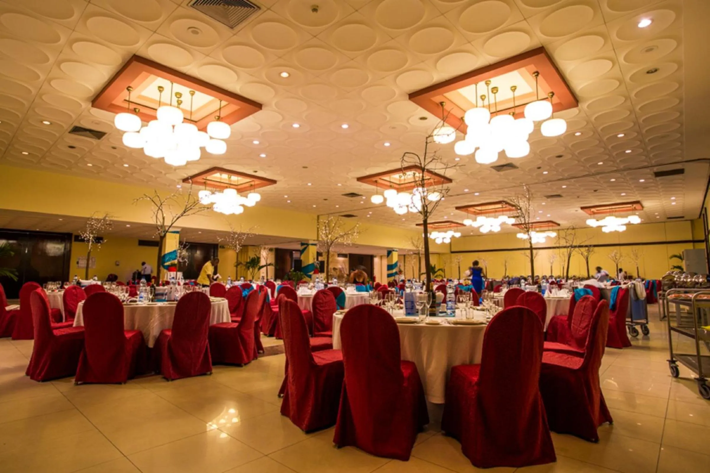 Banquet/Function facilities in Radisson Blu Okoume Palace Hotel, Libreville