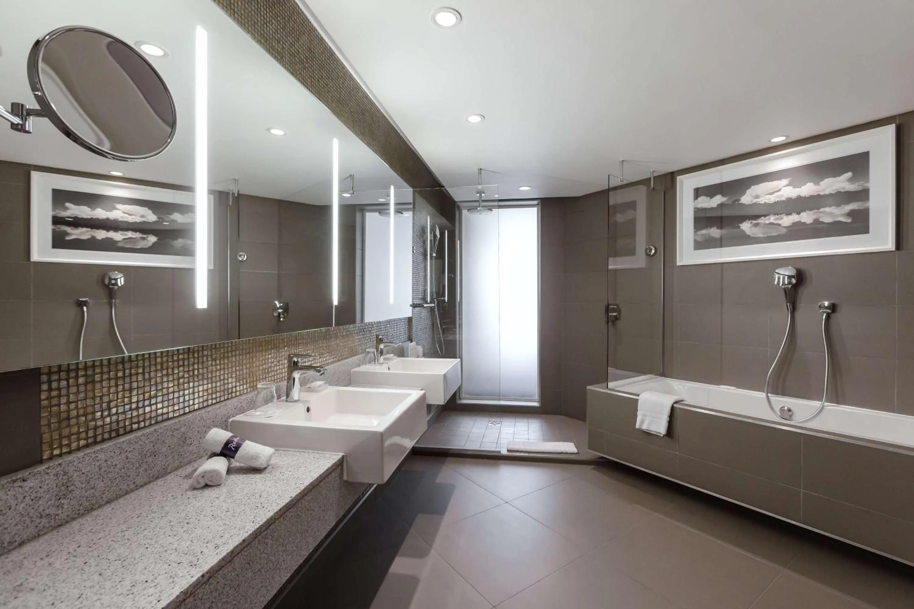 Toilet in Radisson Blu Okoume Palace Hotel, Libreville