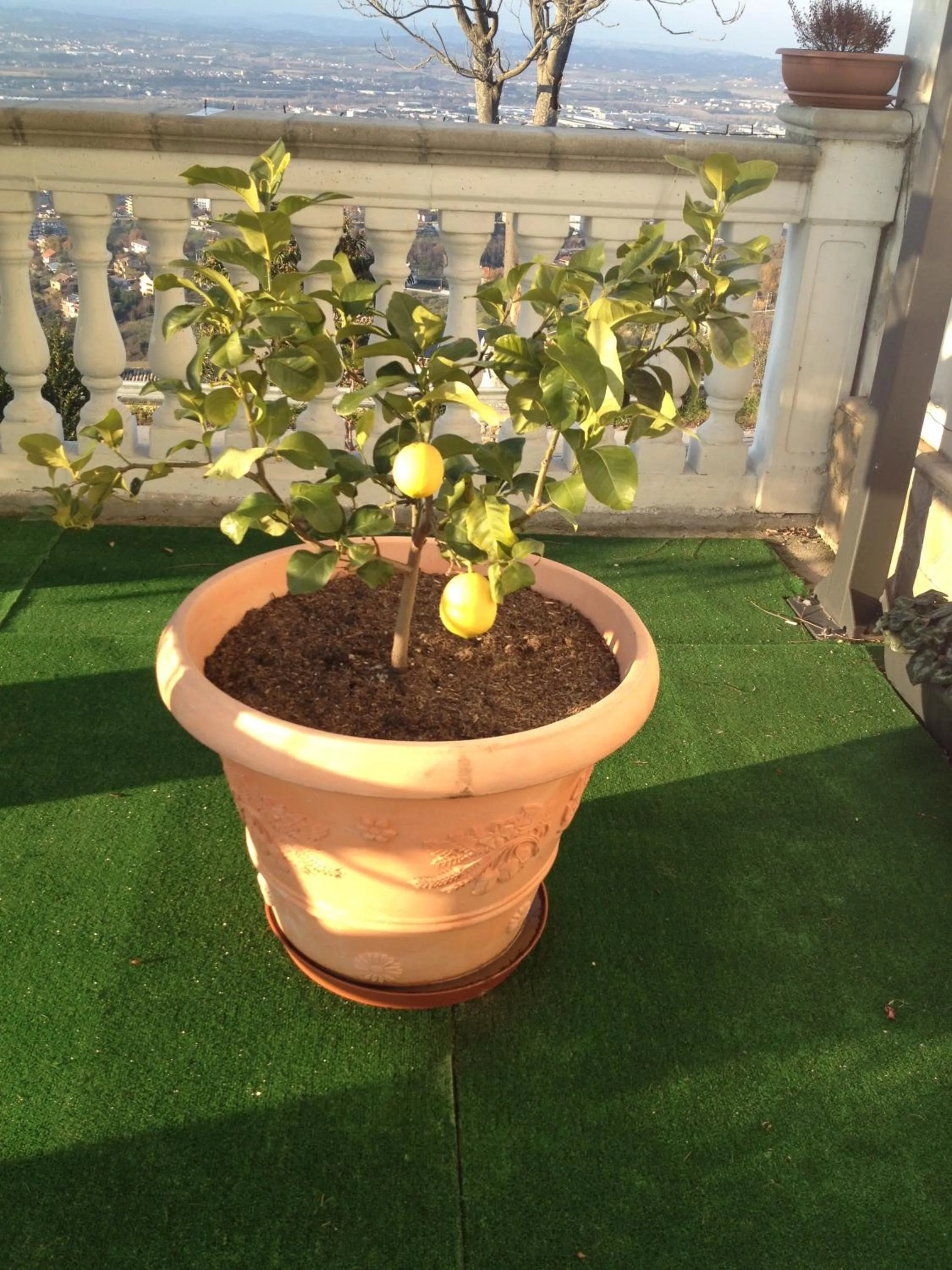 Decorative detail in Via col Vento