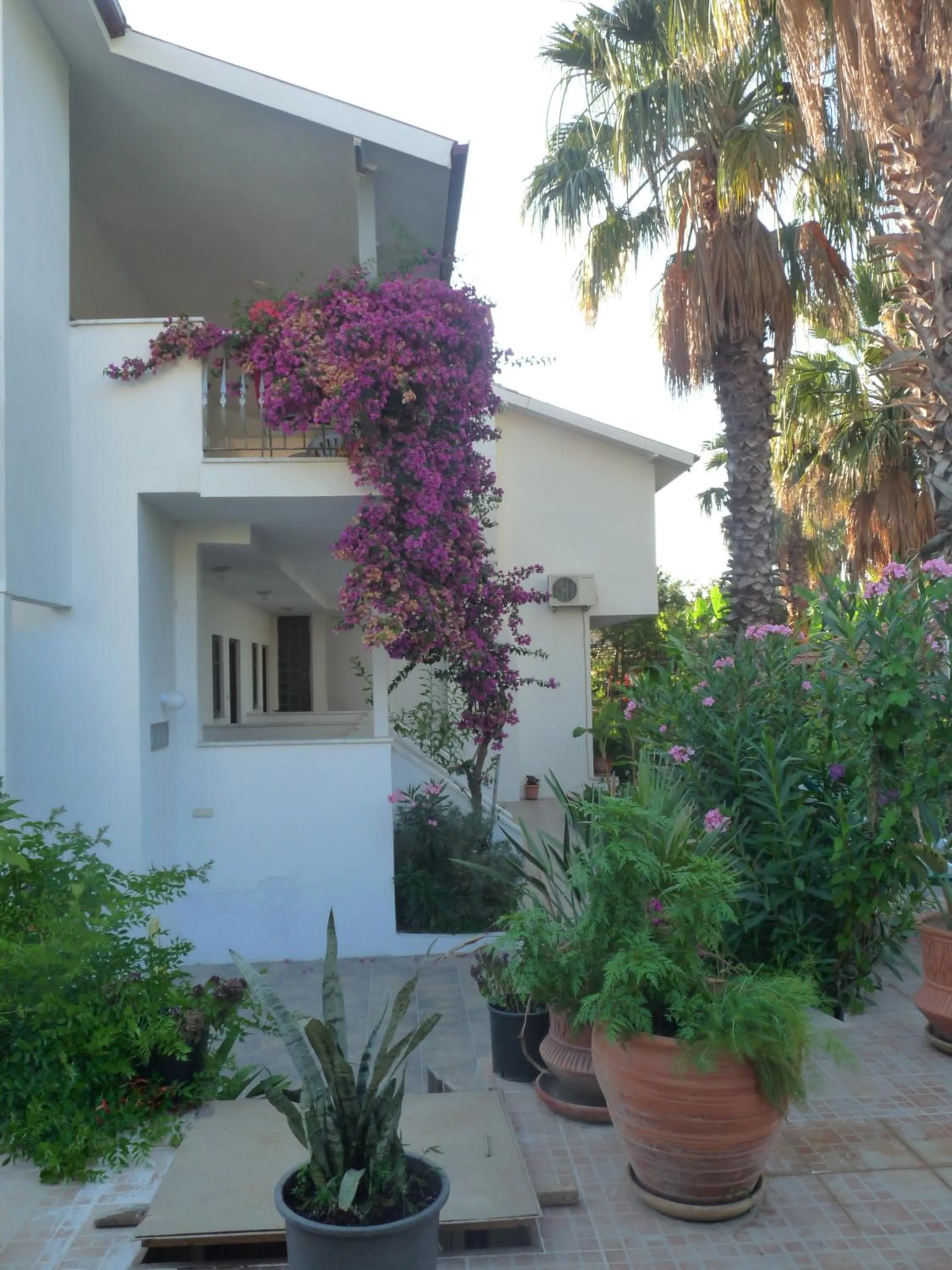Property building in Dalyan Garden Pension