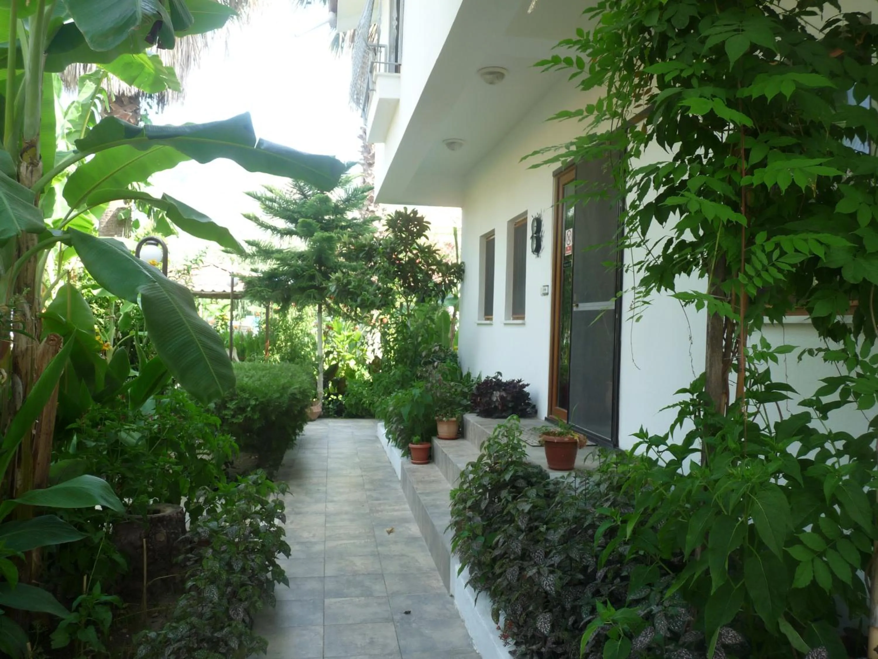 Facade/entrance in Dalyan Garden Pension