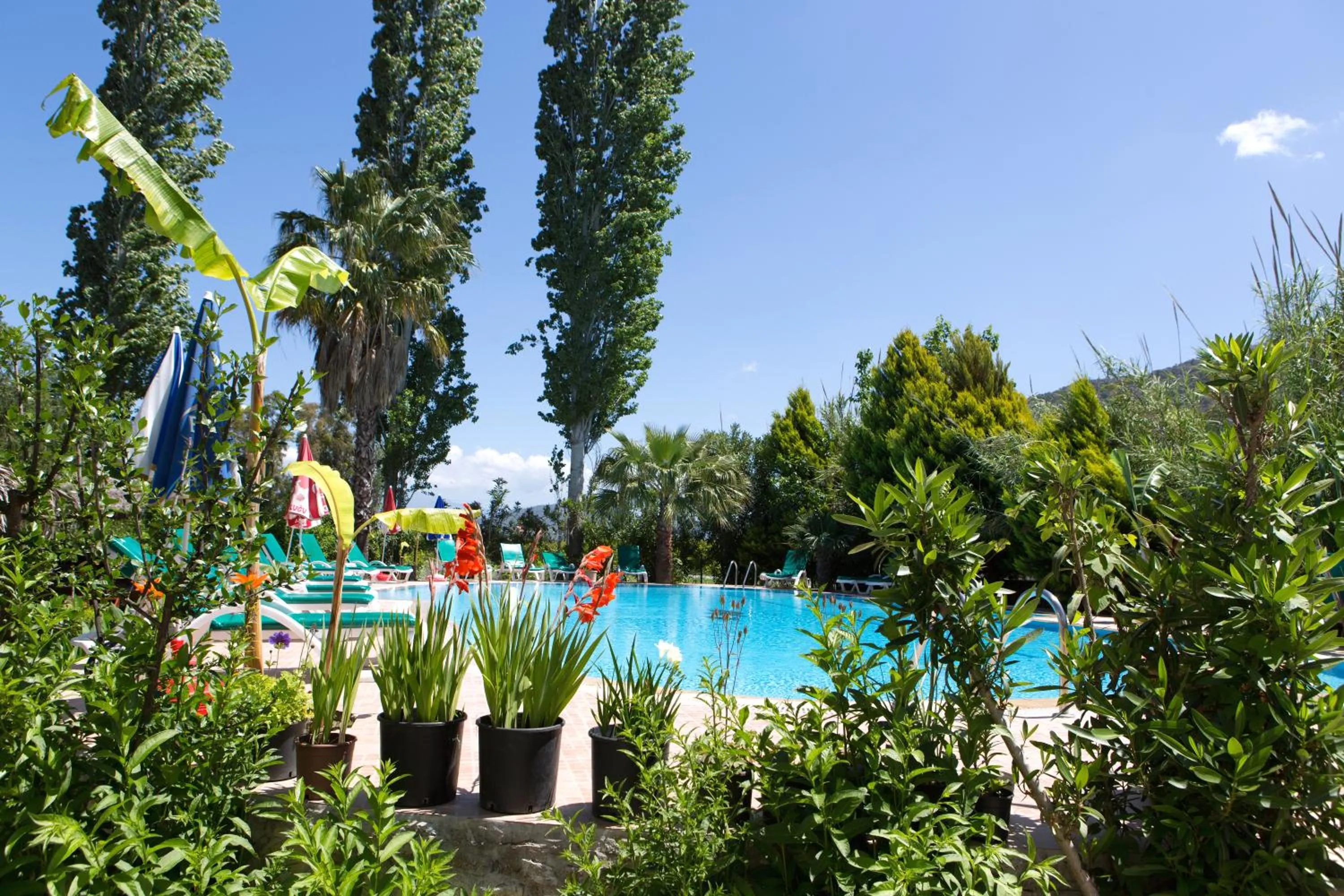 Garden view in Dalyan Garden Pension