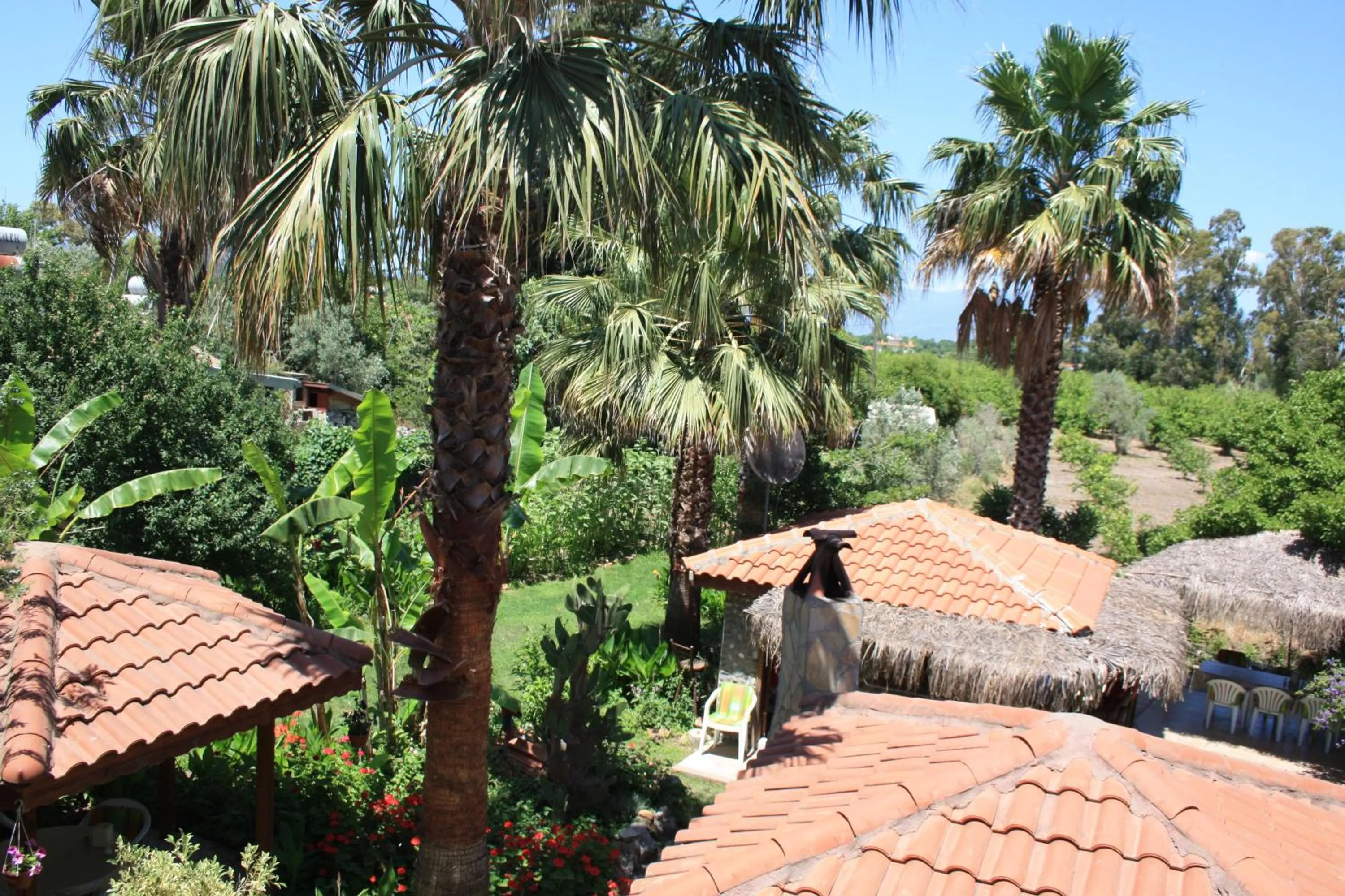 Other in Dalyan Garden Pension