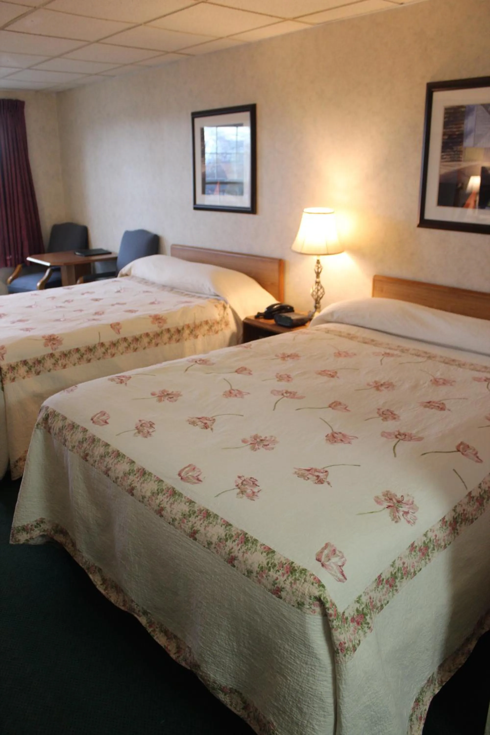 Photo of the whole room, Bed in Anchorage Inn Burlington