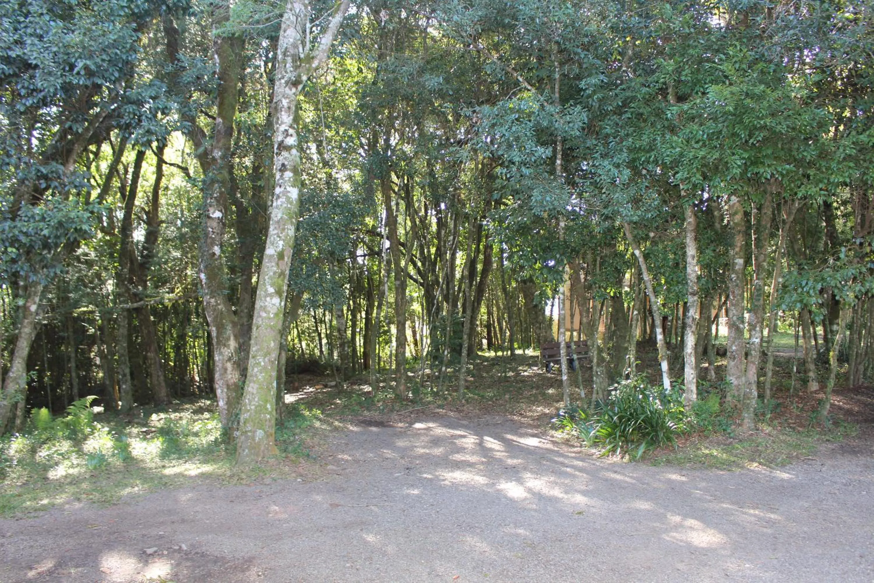 Natural landscape in Pousada Floresta Negra
