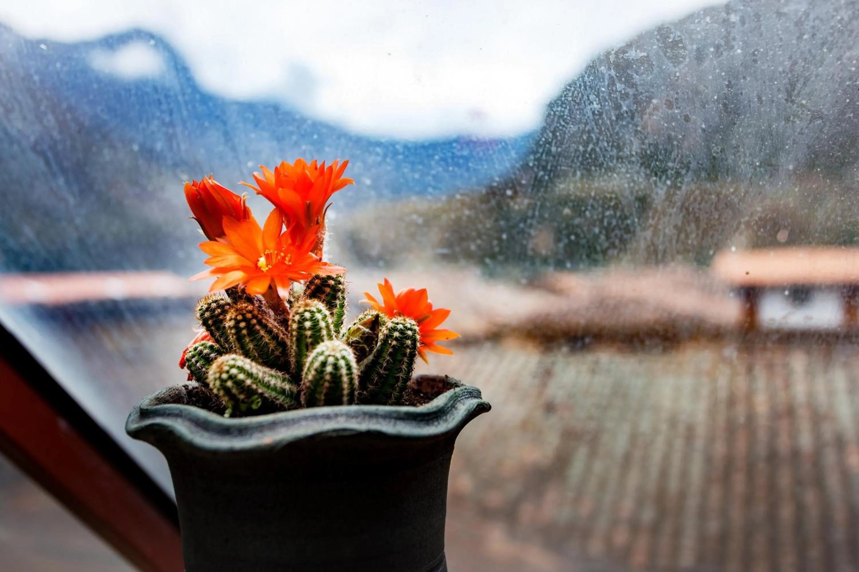 Mountain view in Hotel Inka King