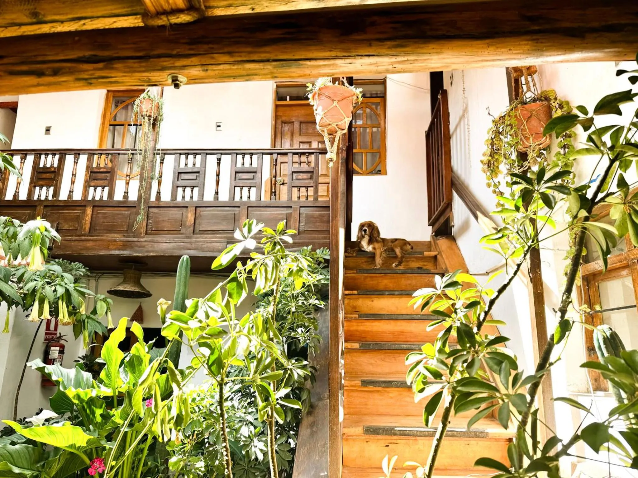 Property building in Hotel Inka King