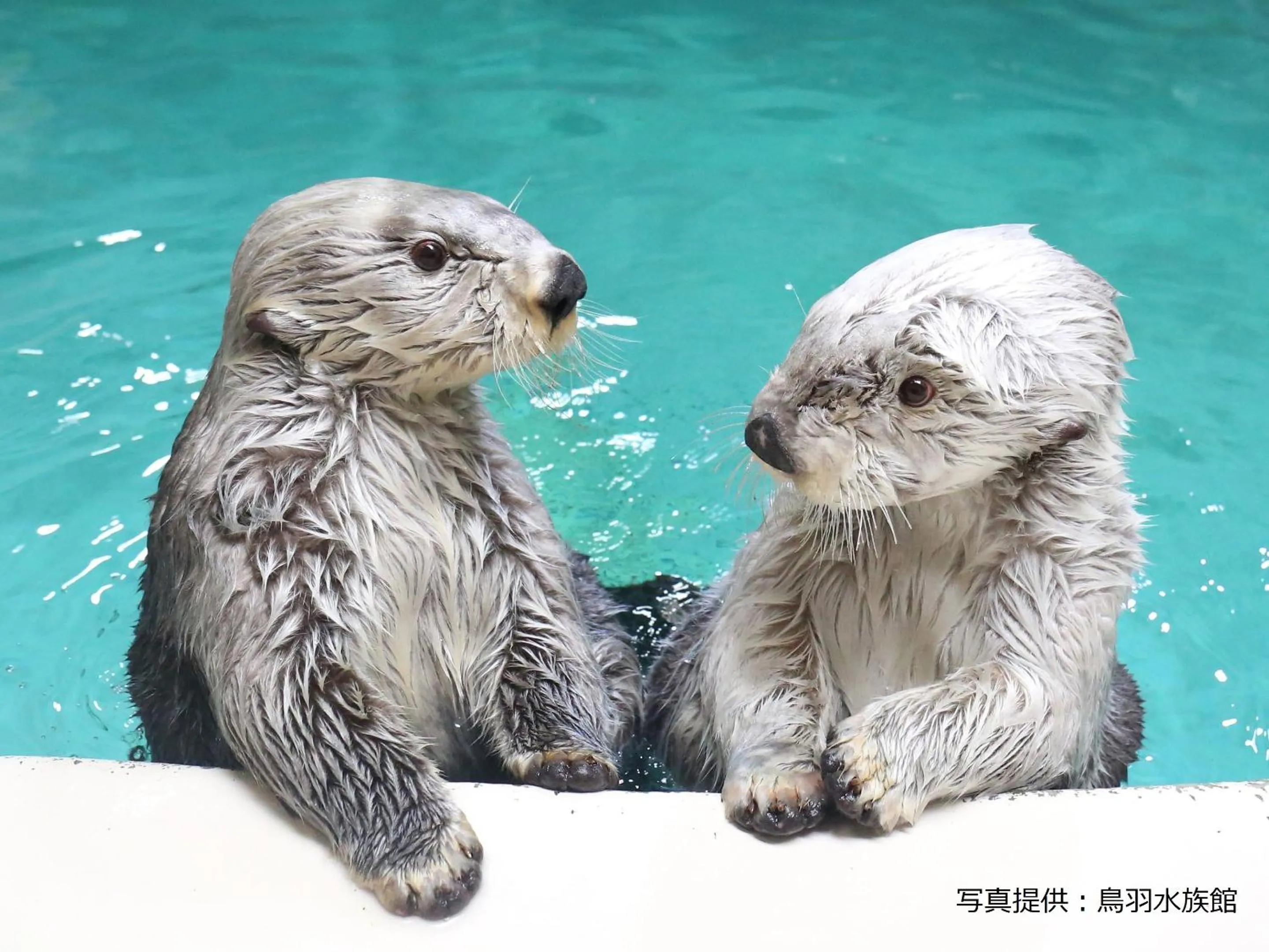 Nearby landmark in Ooedo Onsen Monogatari Premium Toba Saichoraku