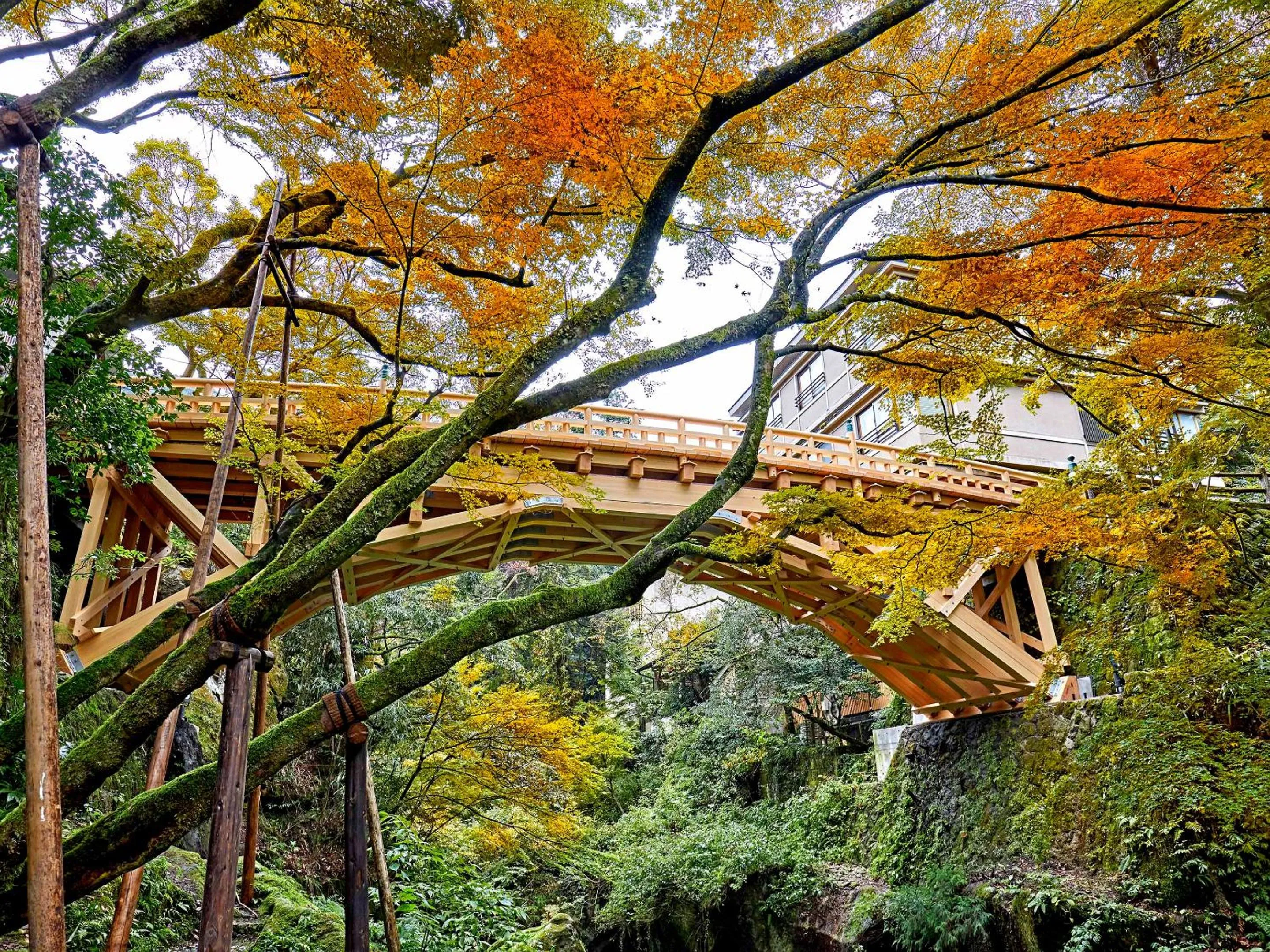 Nearby landmark in Ooedo Onsen Monogatari Yamanaka Saichoraku