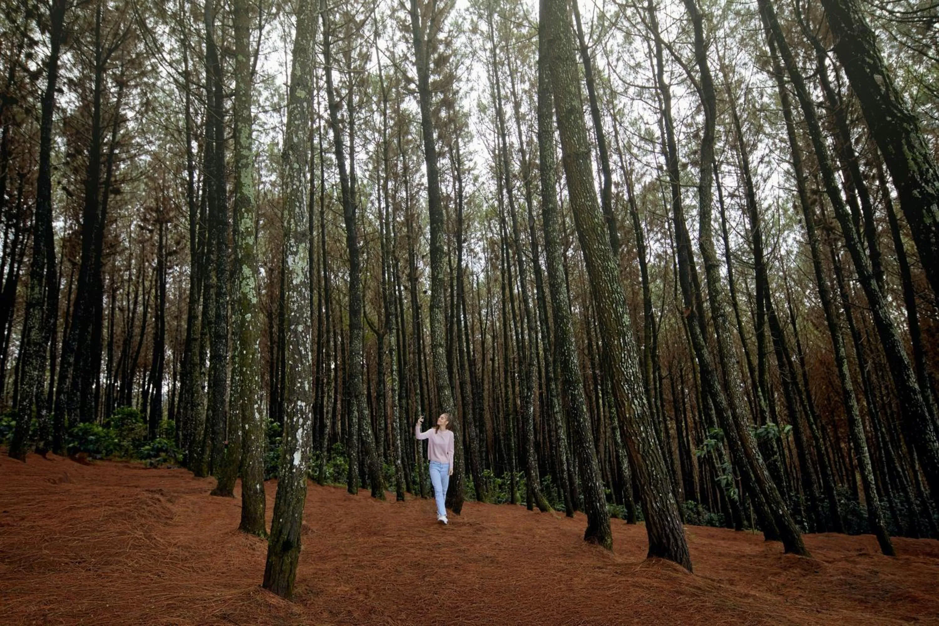 Other in Four Points by Sheraton Bandung