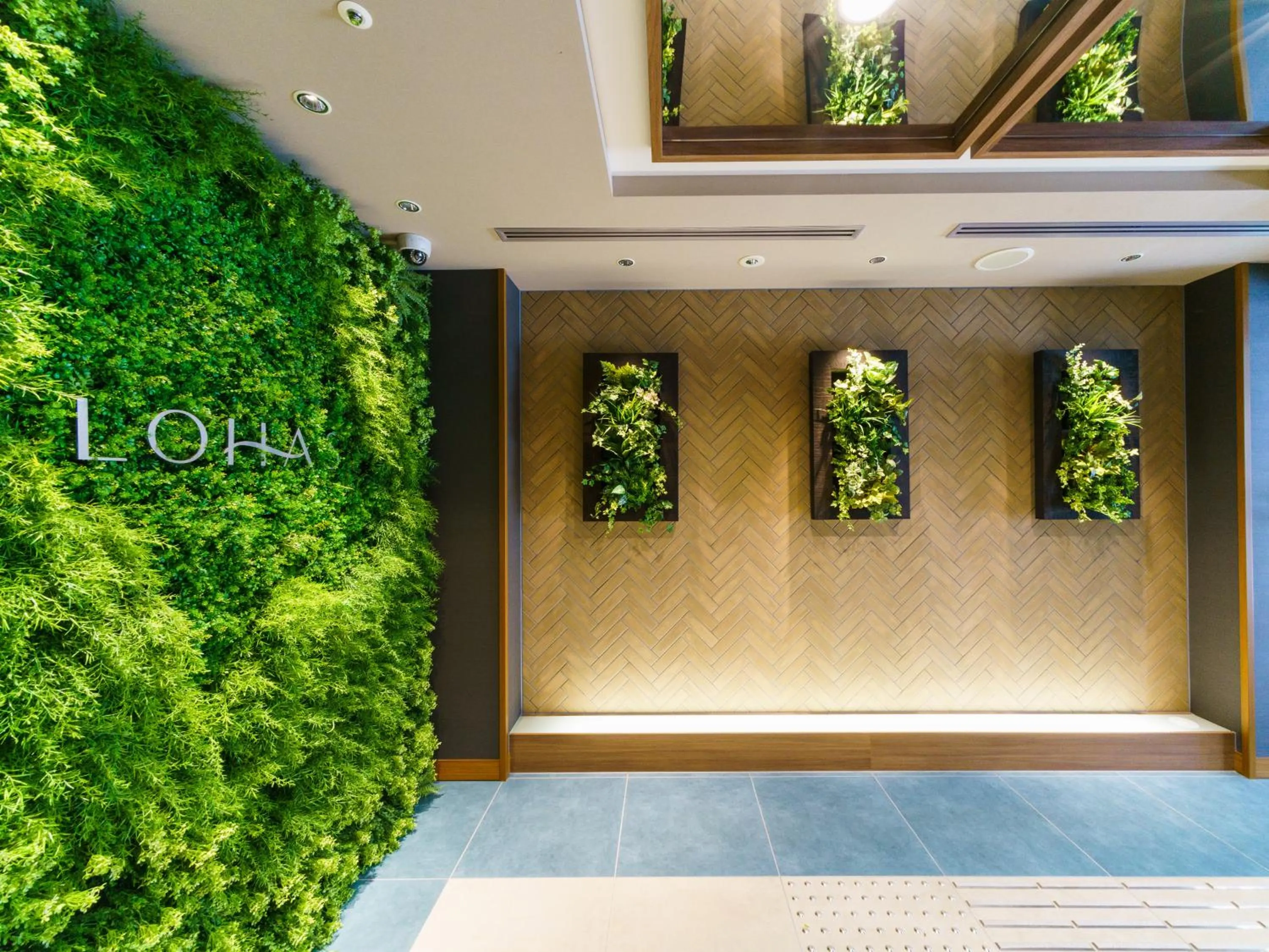 Area and facilities in Super Hotel Premier Osaka Honmachi Ekimae Natural Hot Springs