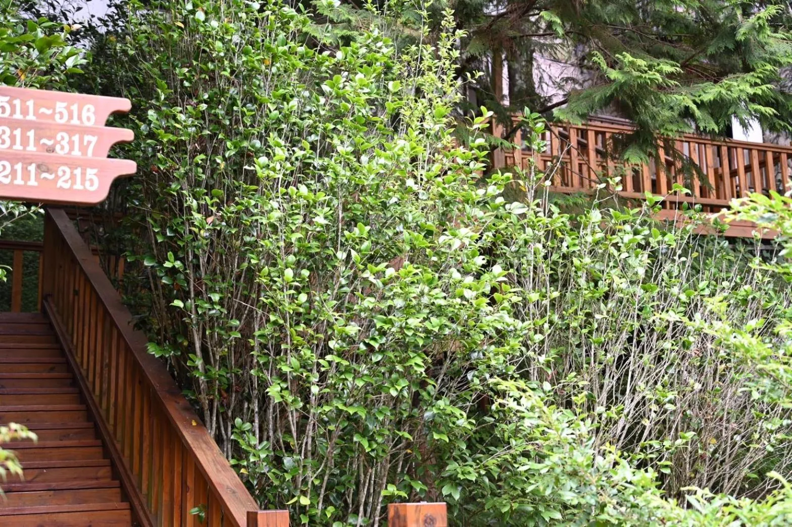 Property building in Dreamtown