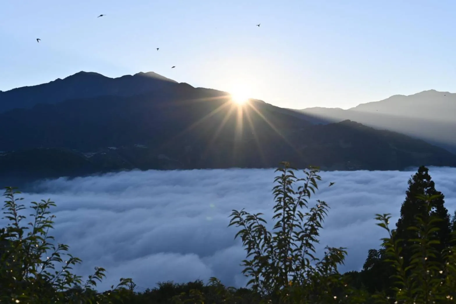 Natural landscape in Dreamtown