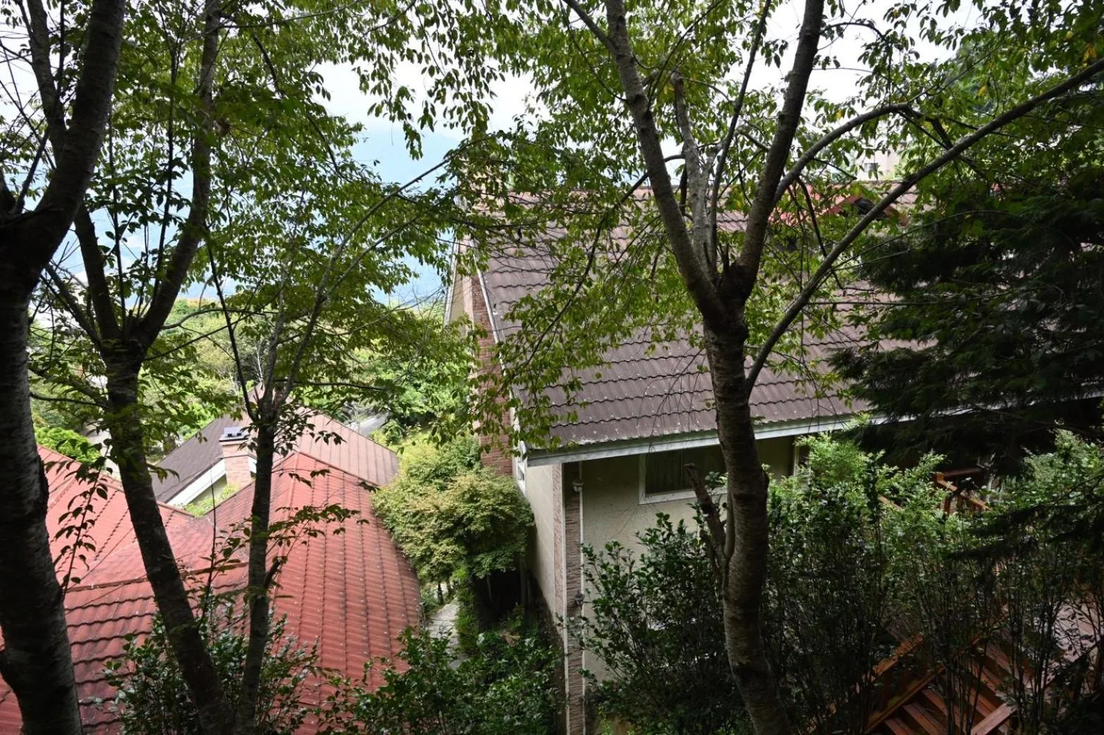 Property building in Dreamtown