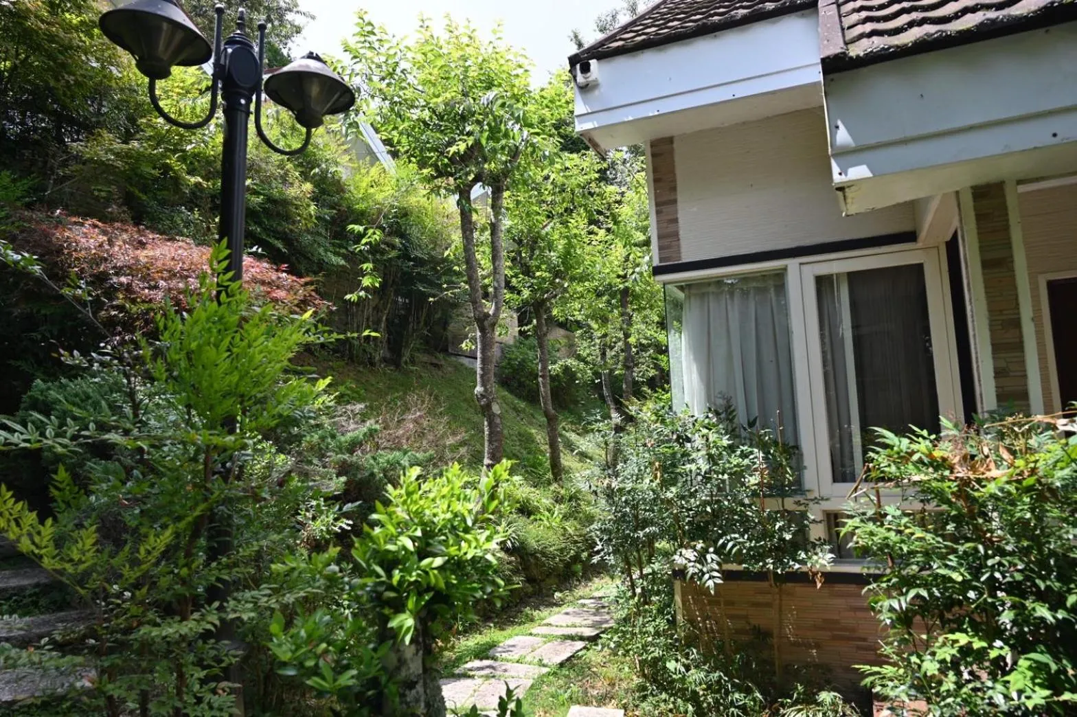 Property building in Dreamtown