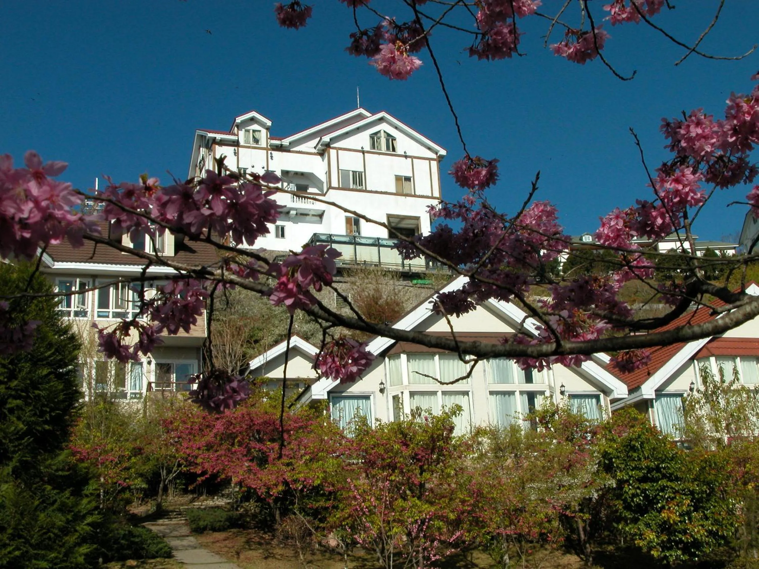 Neighbourhood in Dreamtown