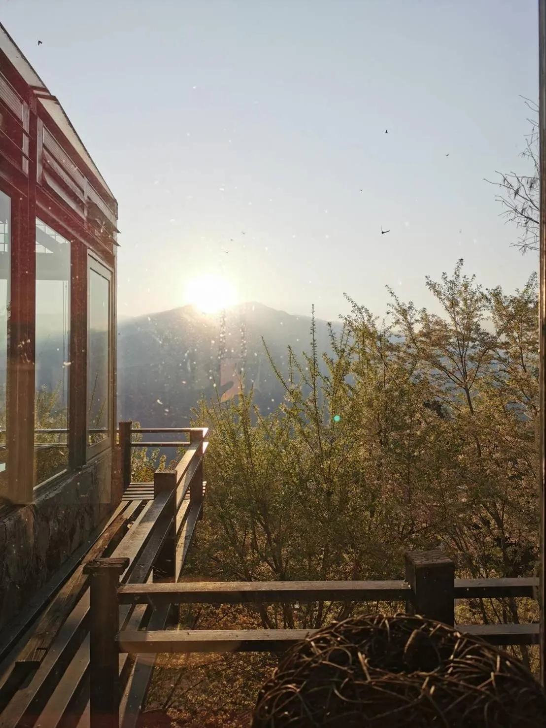 Restaurant/places to eat in Dreamtown