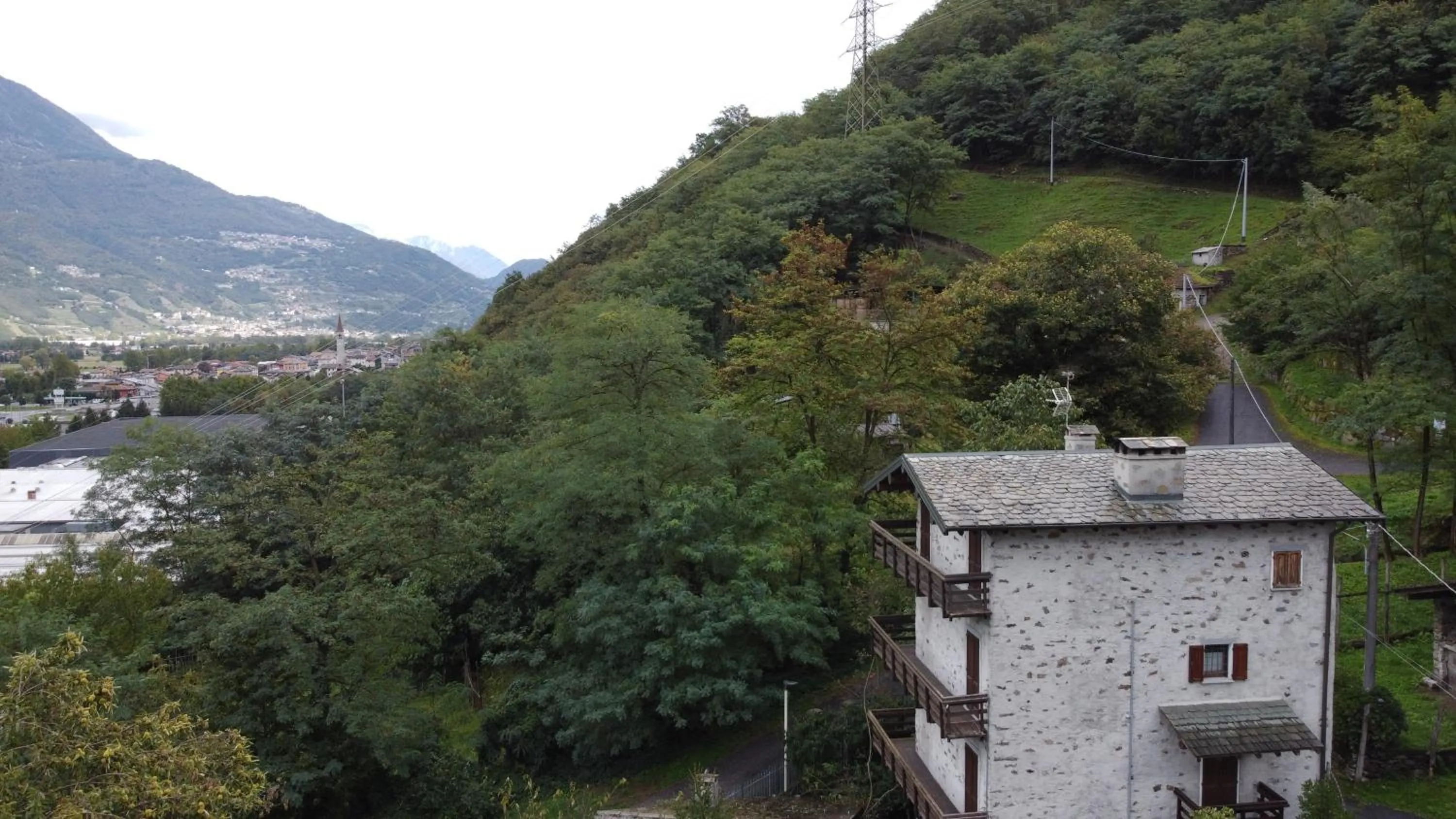 Other in B&B Al Carotin