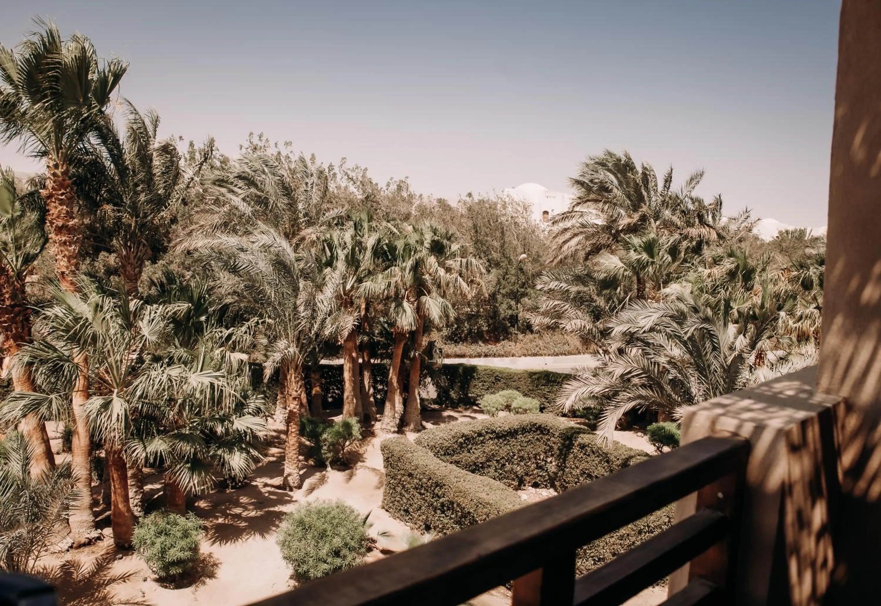 Garden view in Cook’s Club El Gouna (Adults Only)