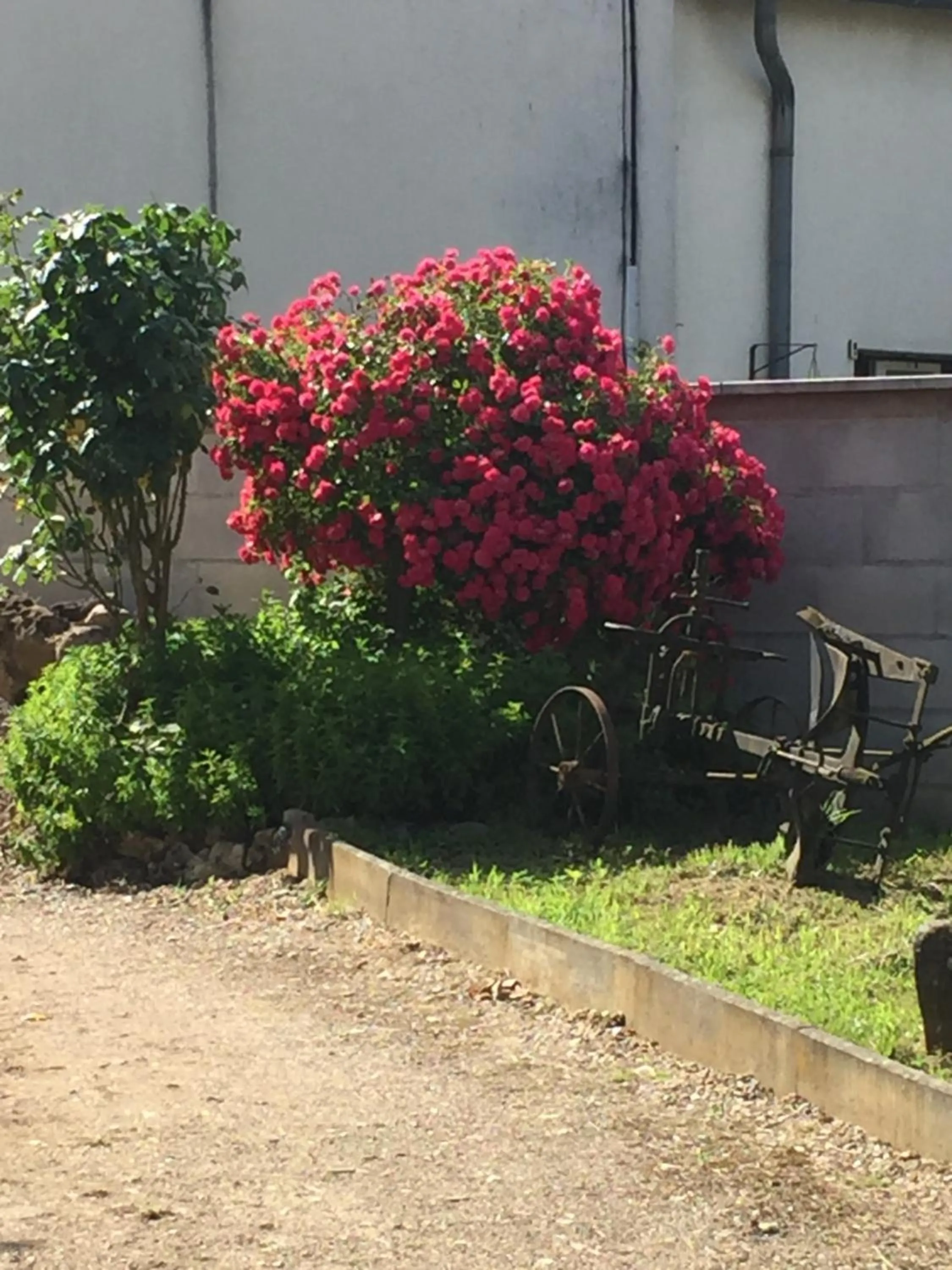 Bienvenue A La Campagne