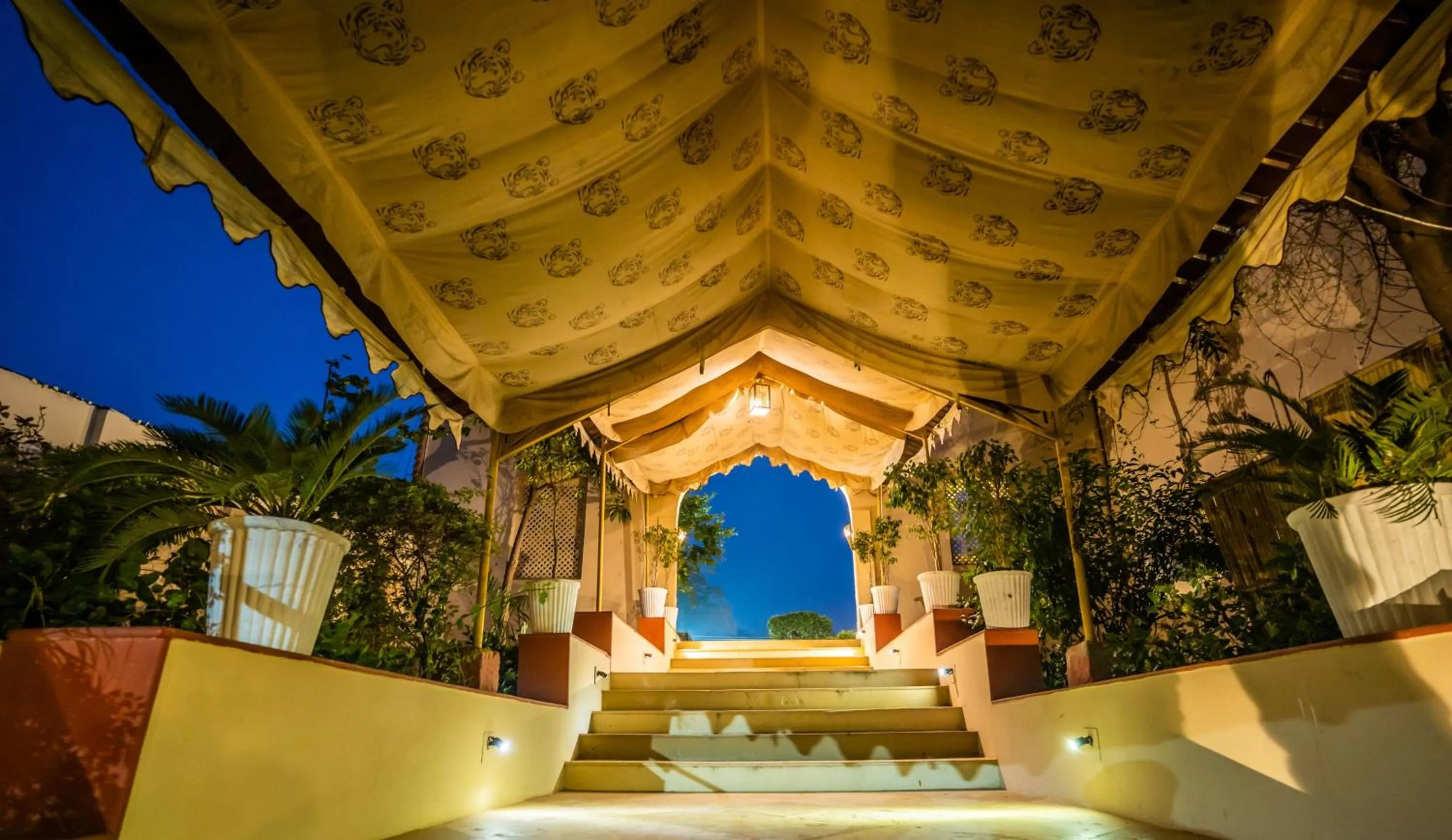 View (from property/room) in Shani Vilas Ranthambore